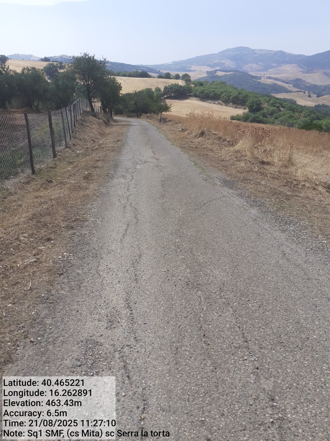 Galleria Fotografica Immagine