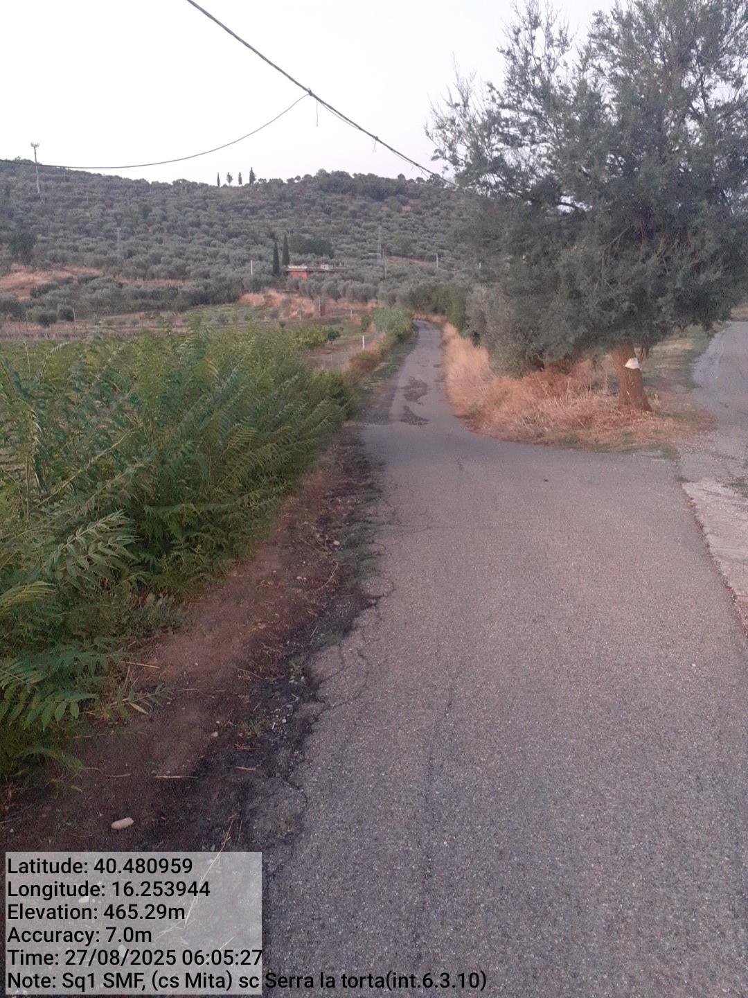 Galleria Fotografica Immagine