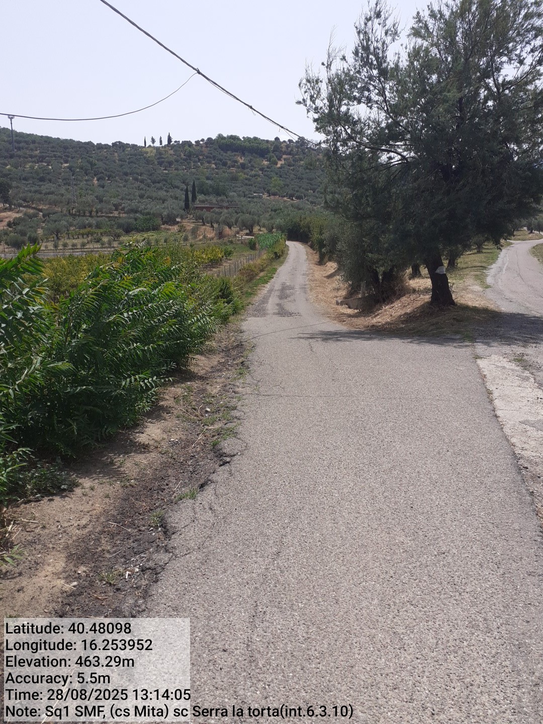 Galleria Fotografica Immagine