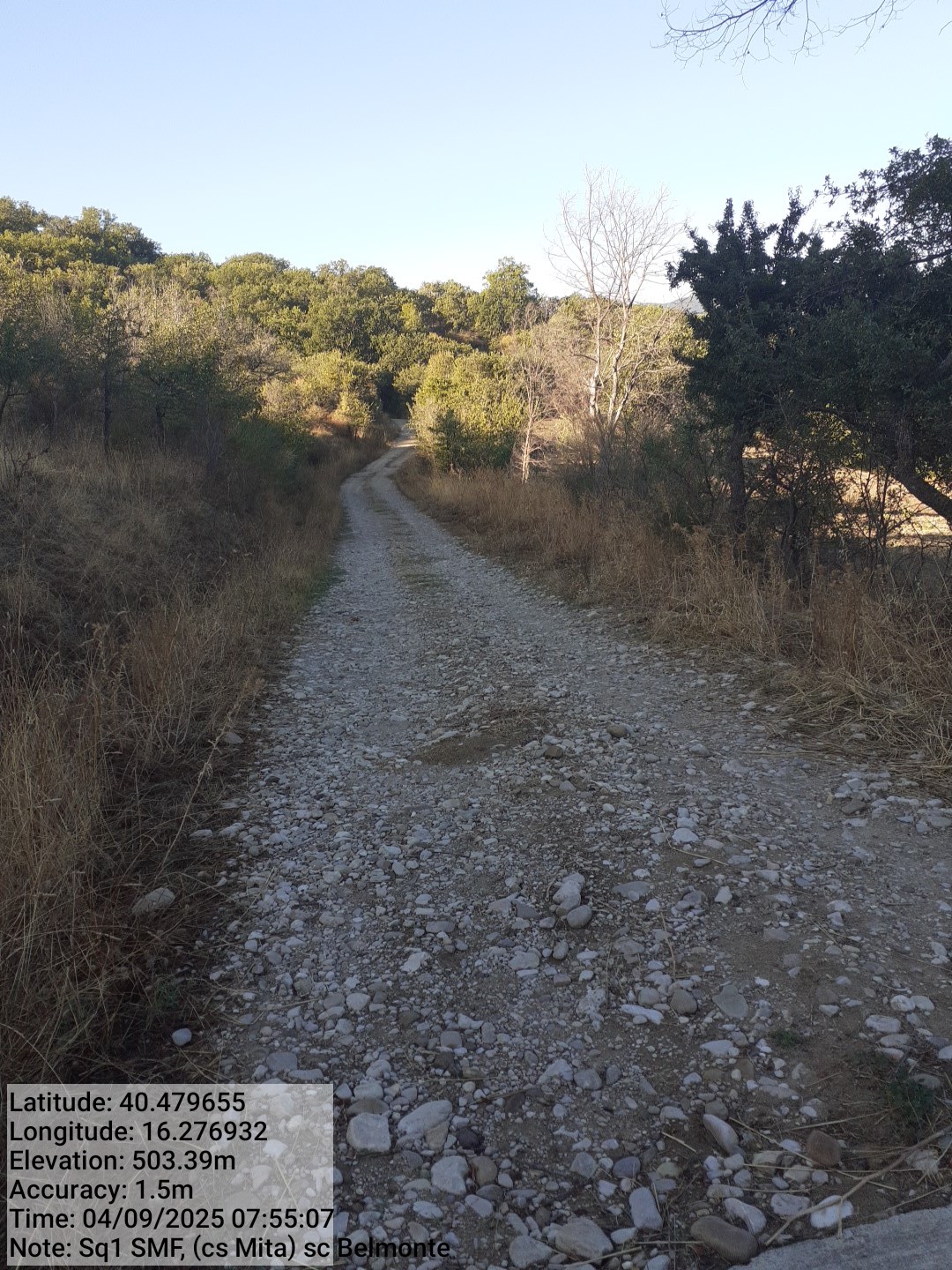 Galleria Fotografica Immagine