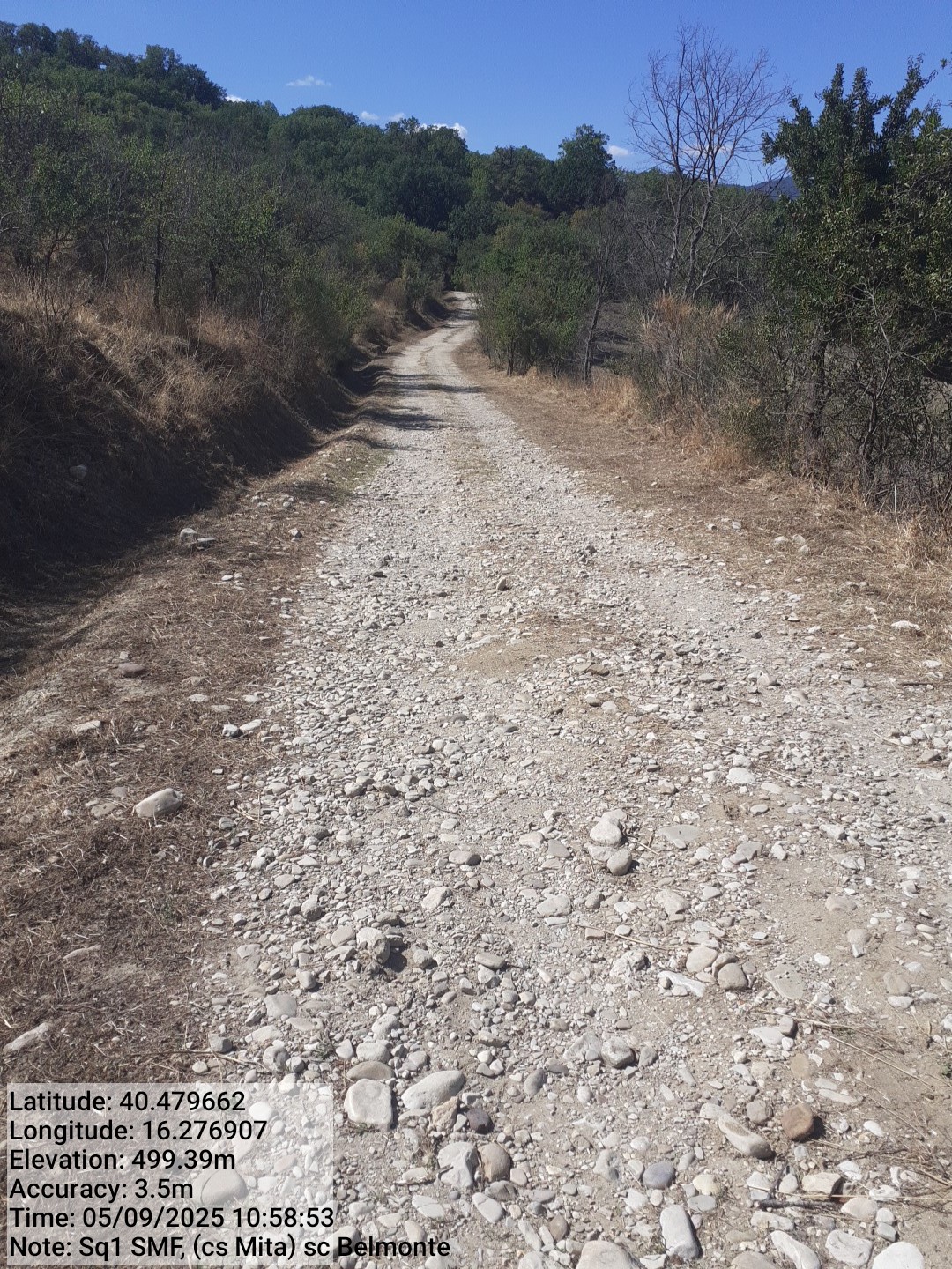 Galleria Fotografica Immagine