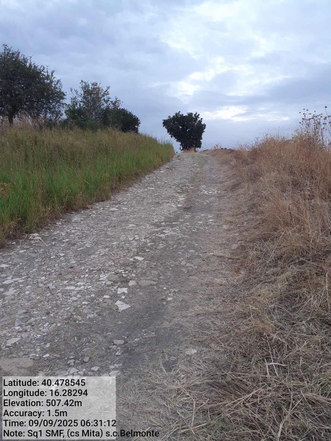 Galleria Fotografica Immagine