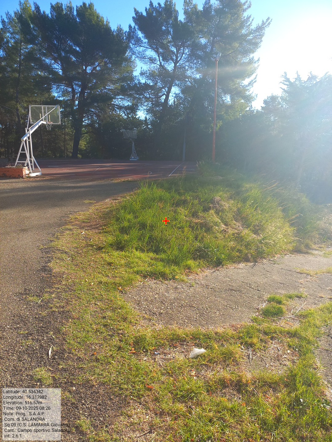 Galleria Fotografica Immagine