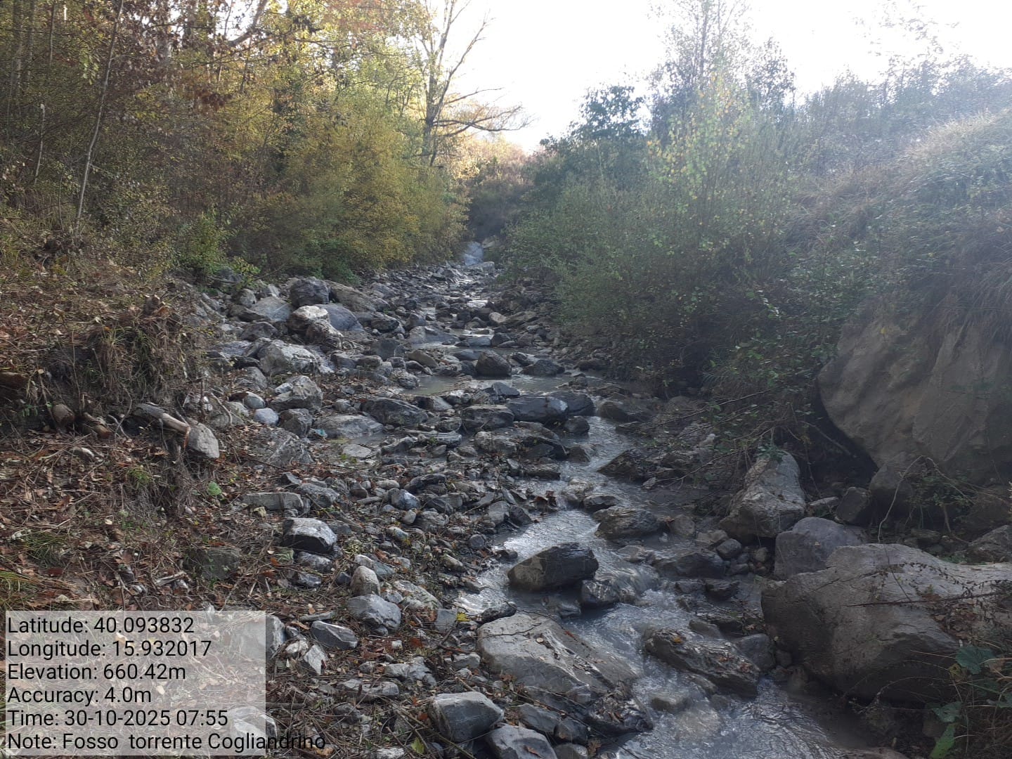 Galleria Fotografica Immagine