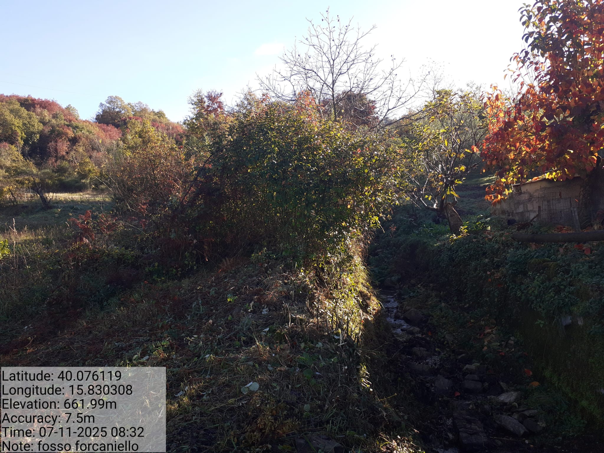 Galleria Fotografica Immagine