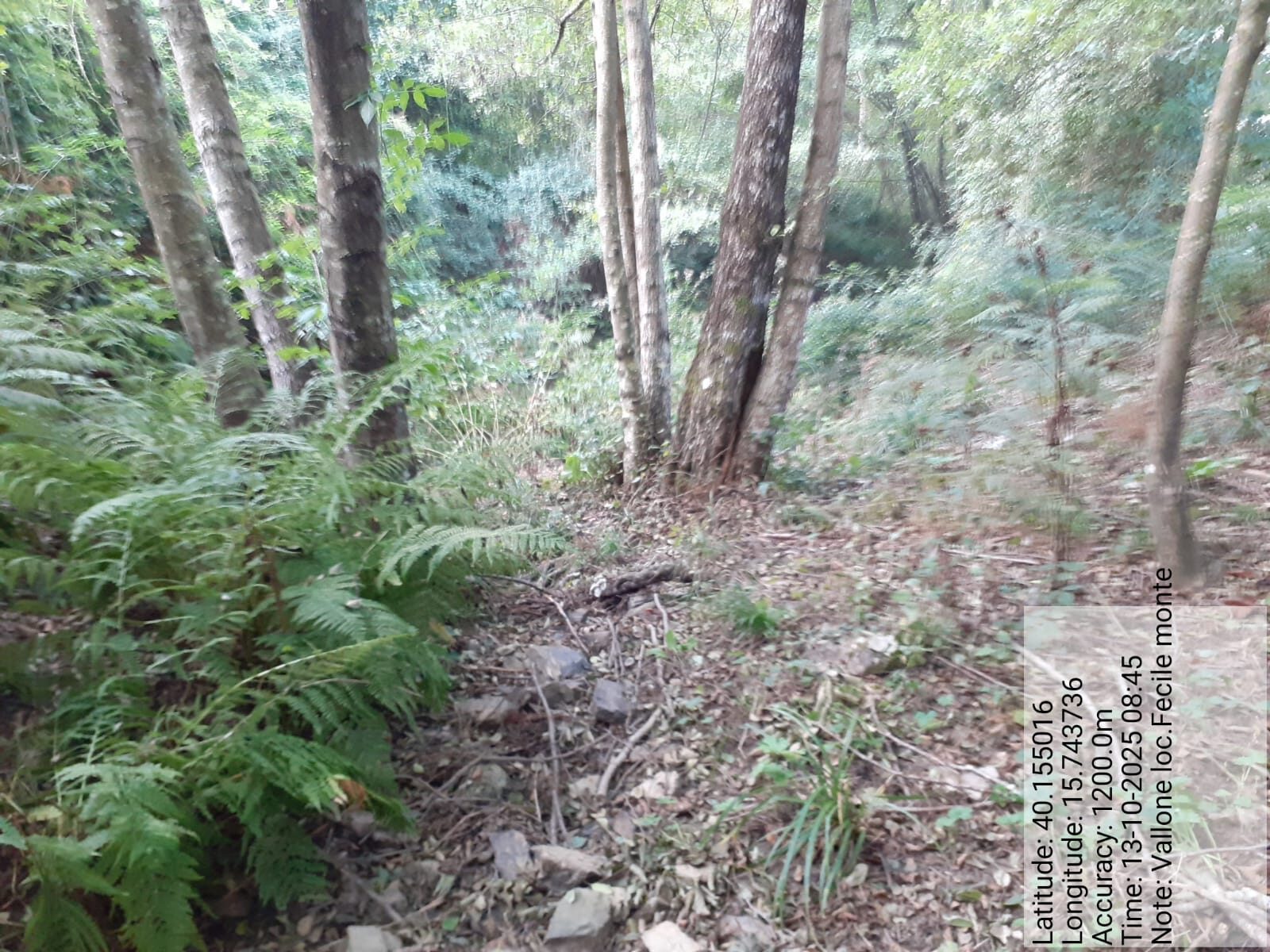 Galleria Fotografica Immagine