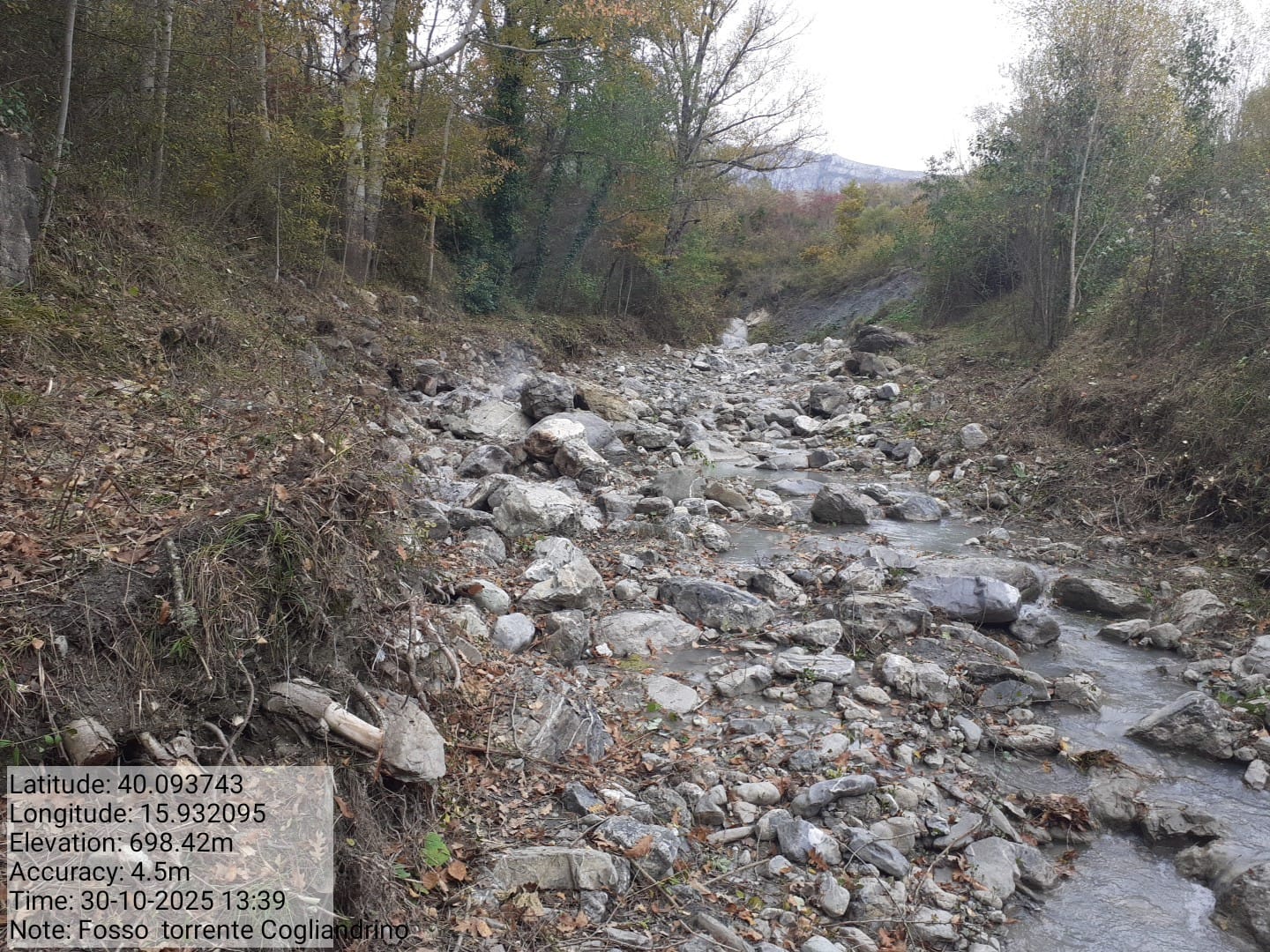 Galleria Fotografica Immagine