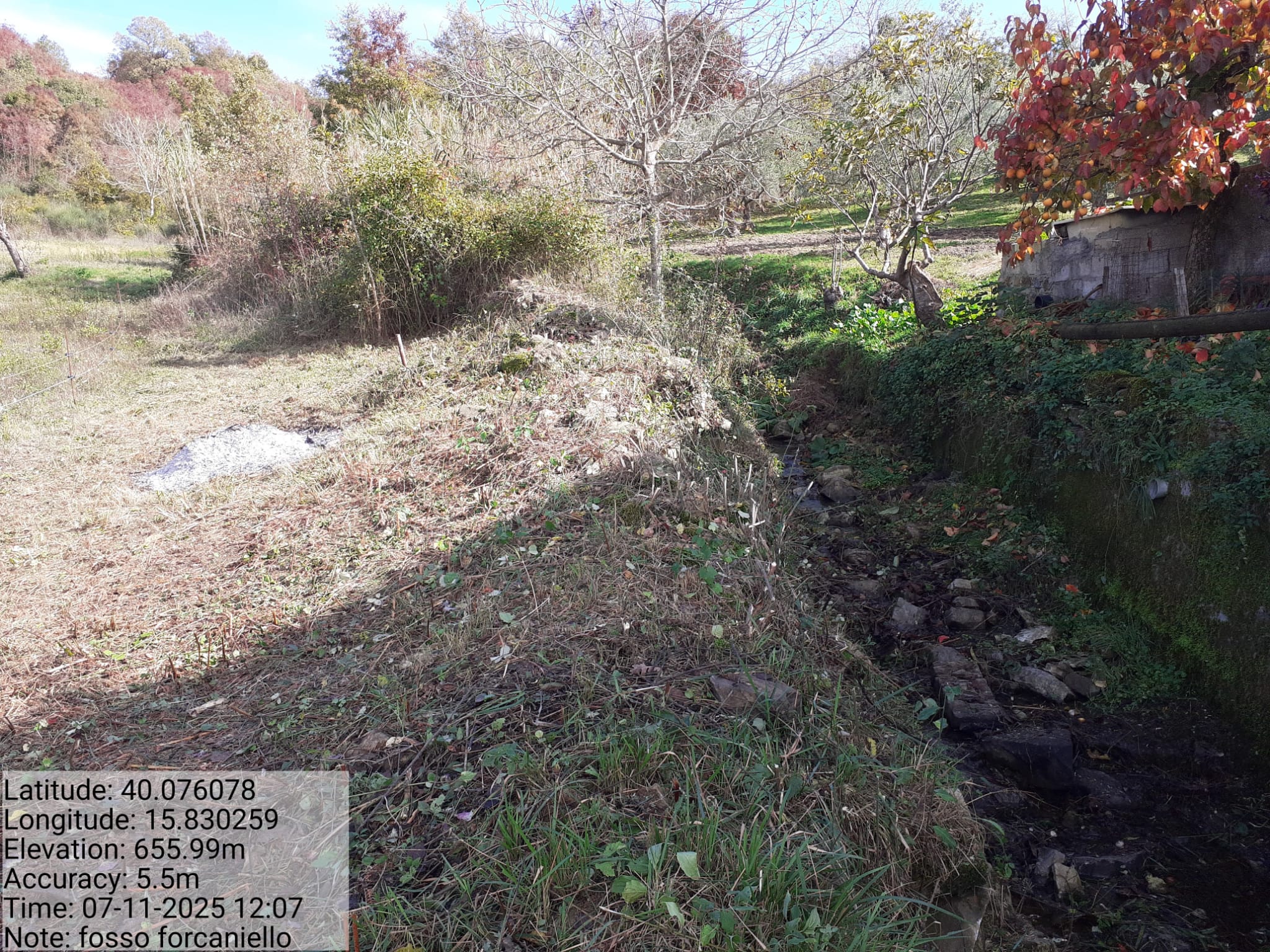 Galleria Fotografica Immagine