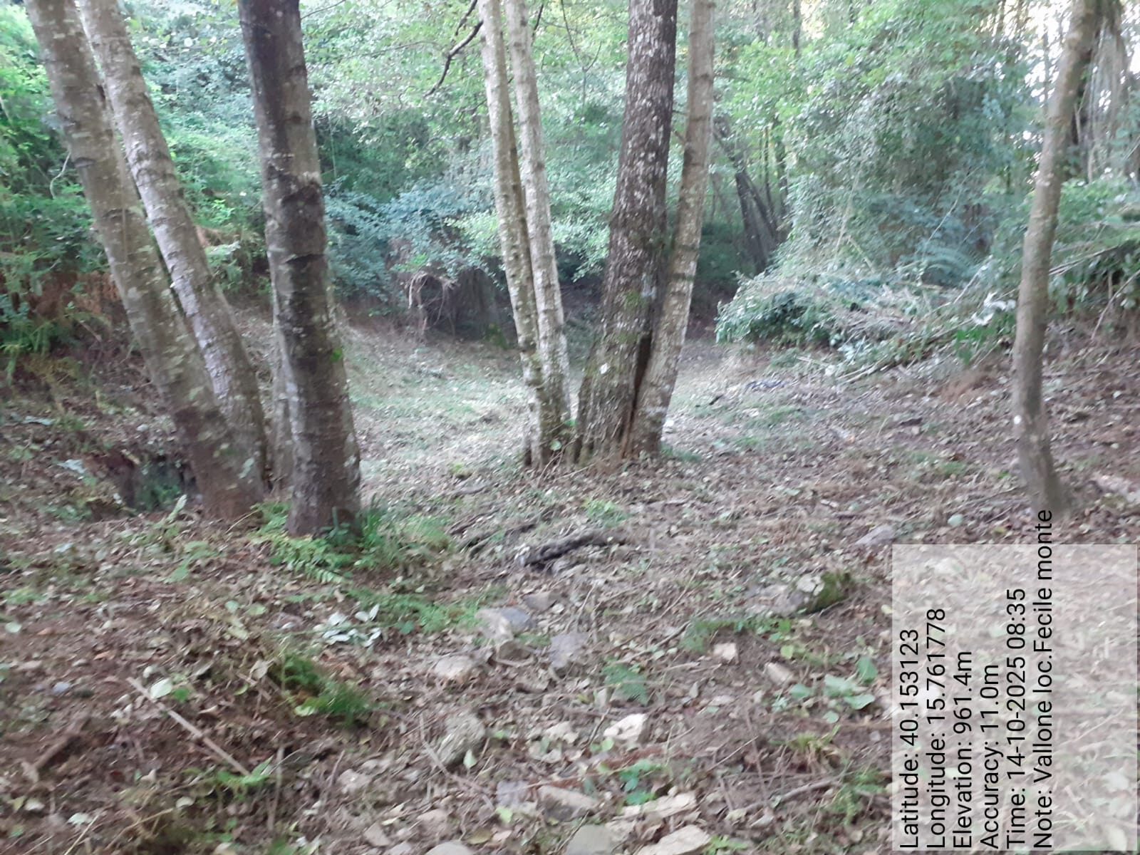 Galleria Fotografica Immagine