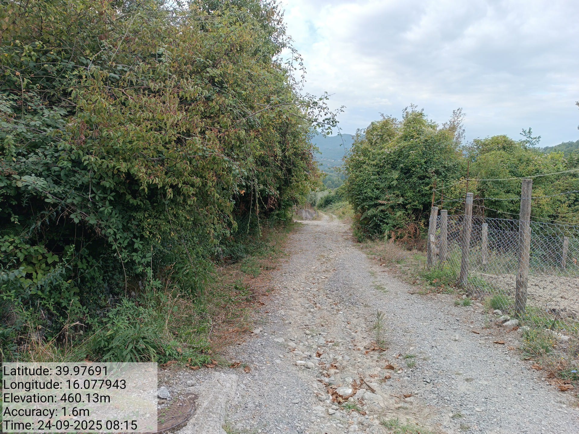 Galleria Fotografica Immagine