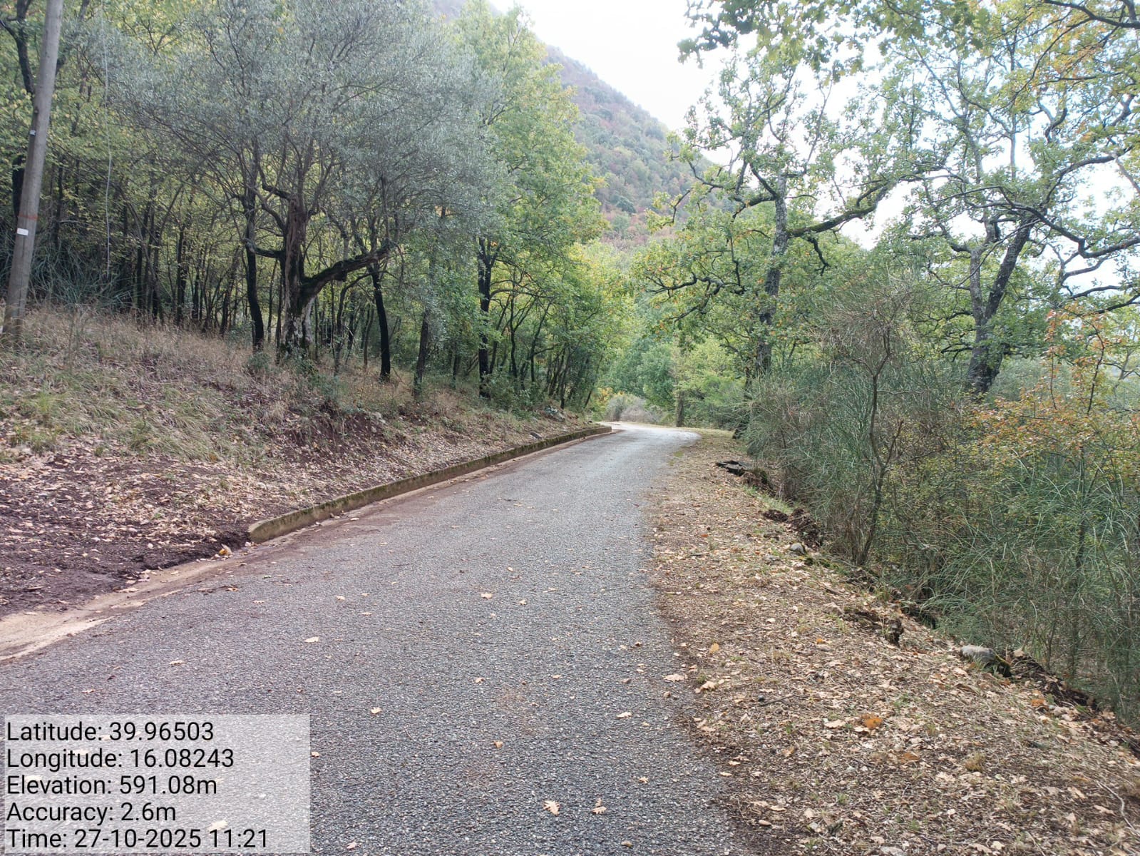 Galleria Fotografica Immagine