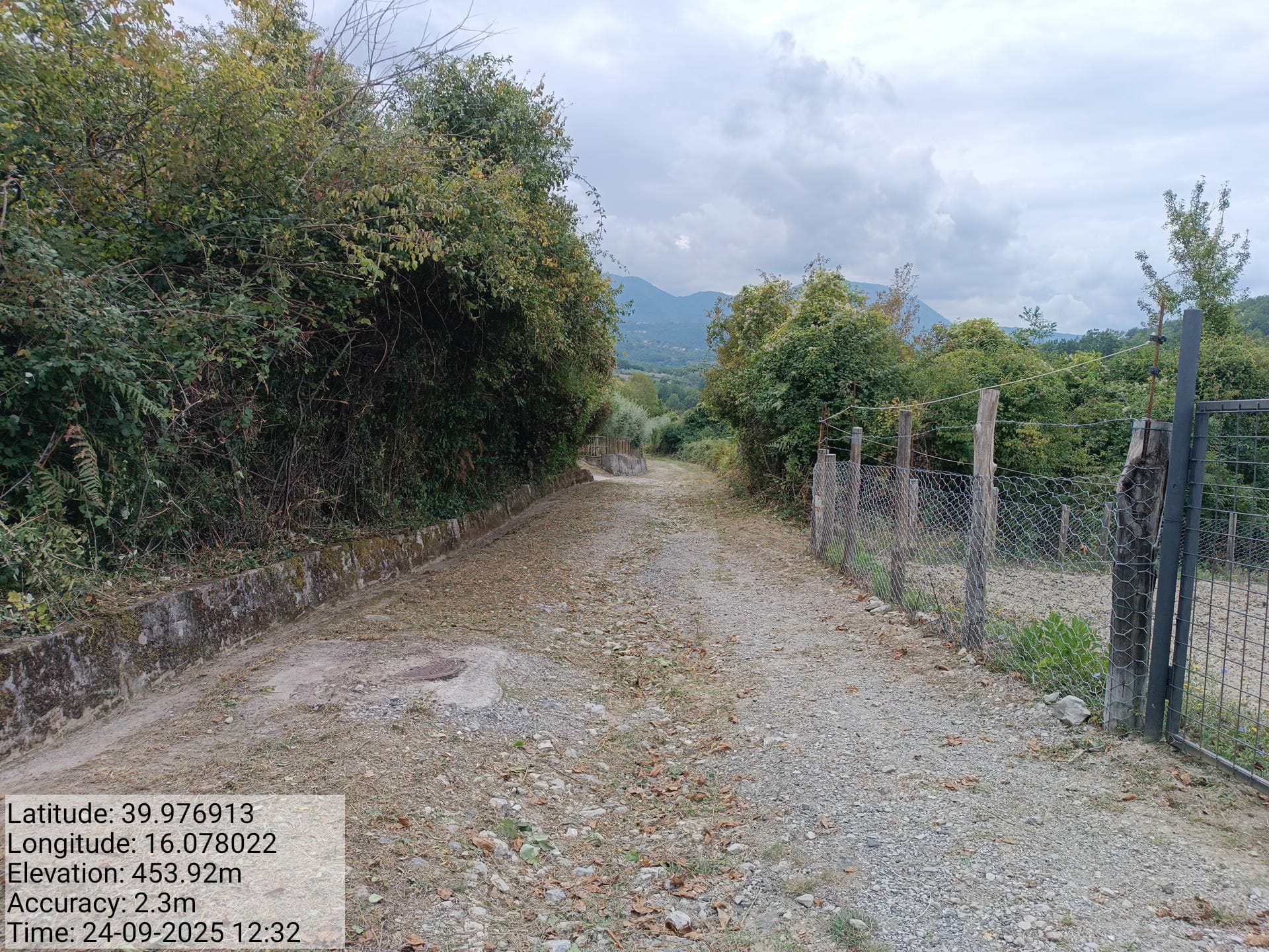 Galleria Fotografica Immagine