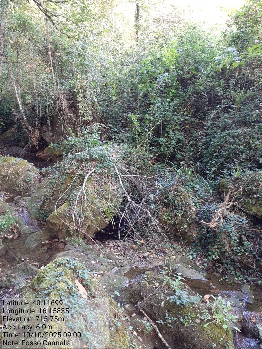 Galleria Fotografica Immagine