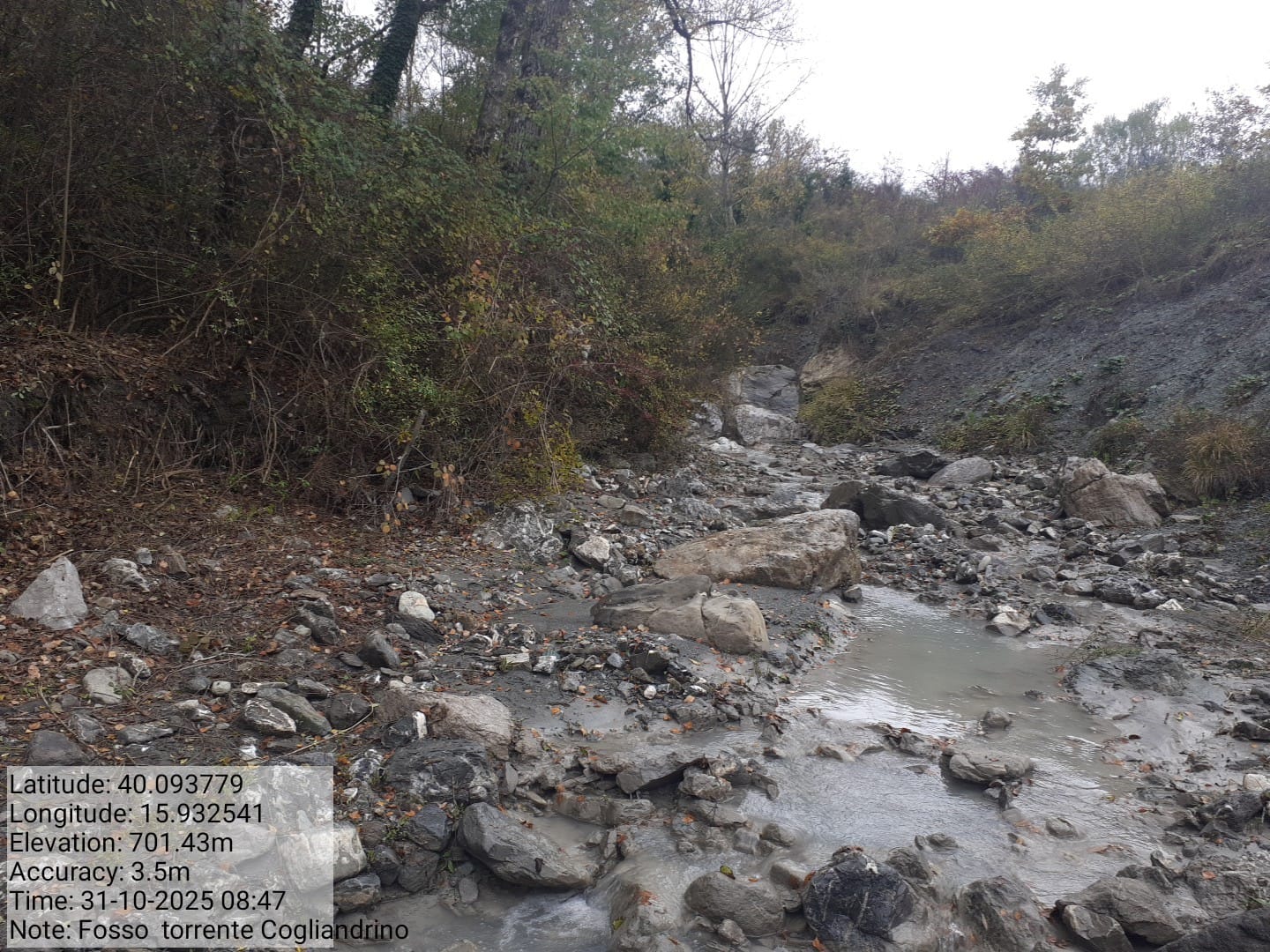 Galleria Fotografica Immagine