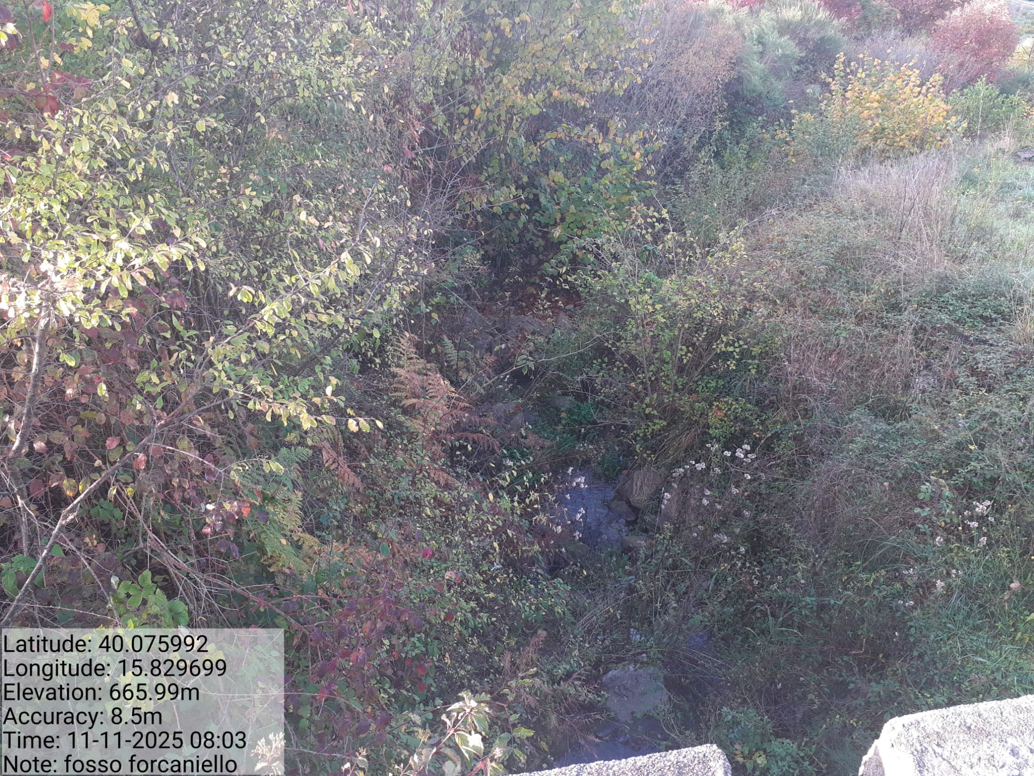 Galleria Fotografica Immagine