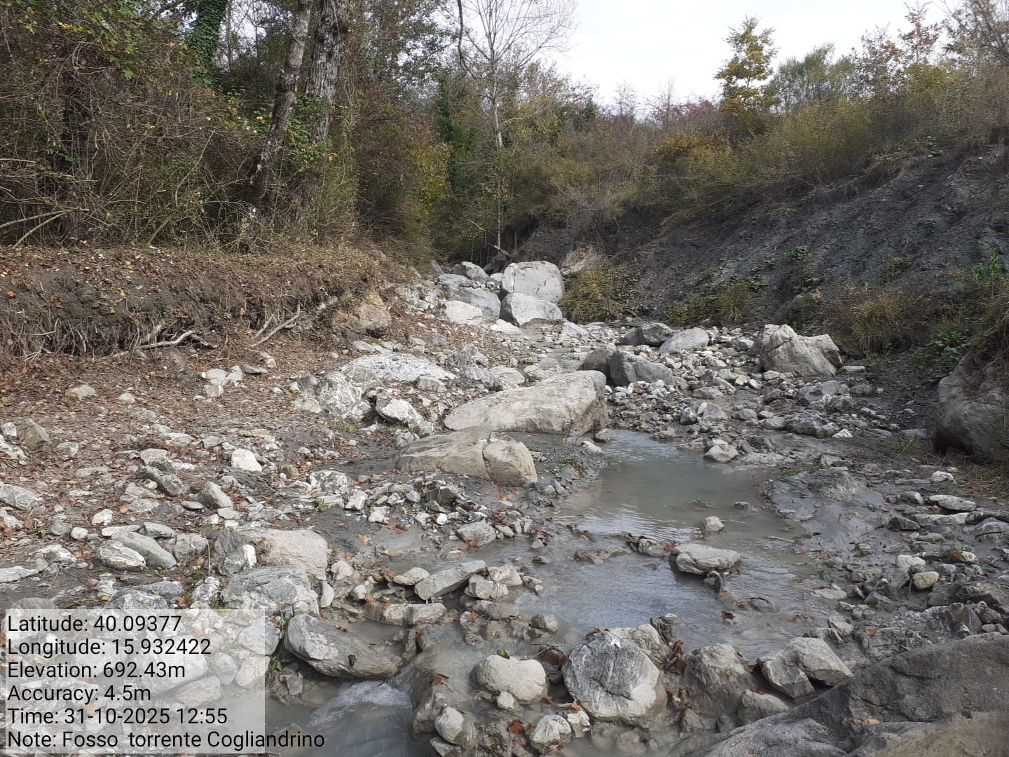 Galleria Fotografica Immagine