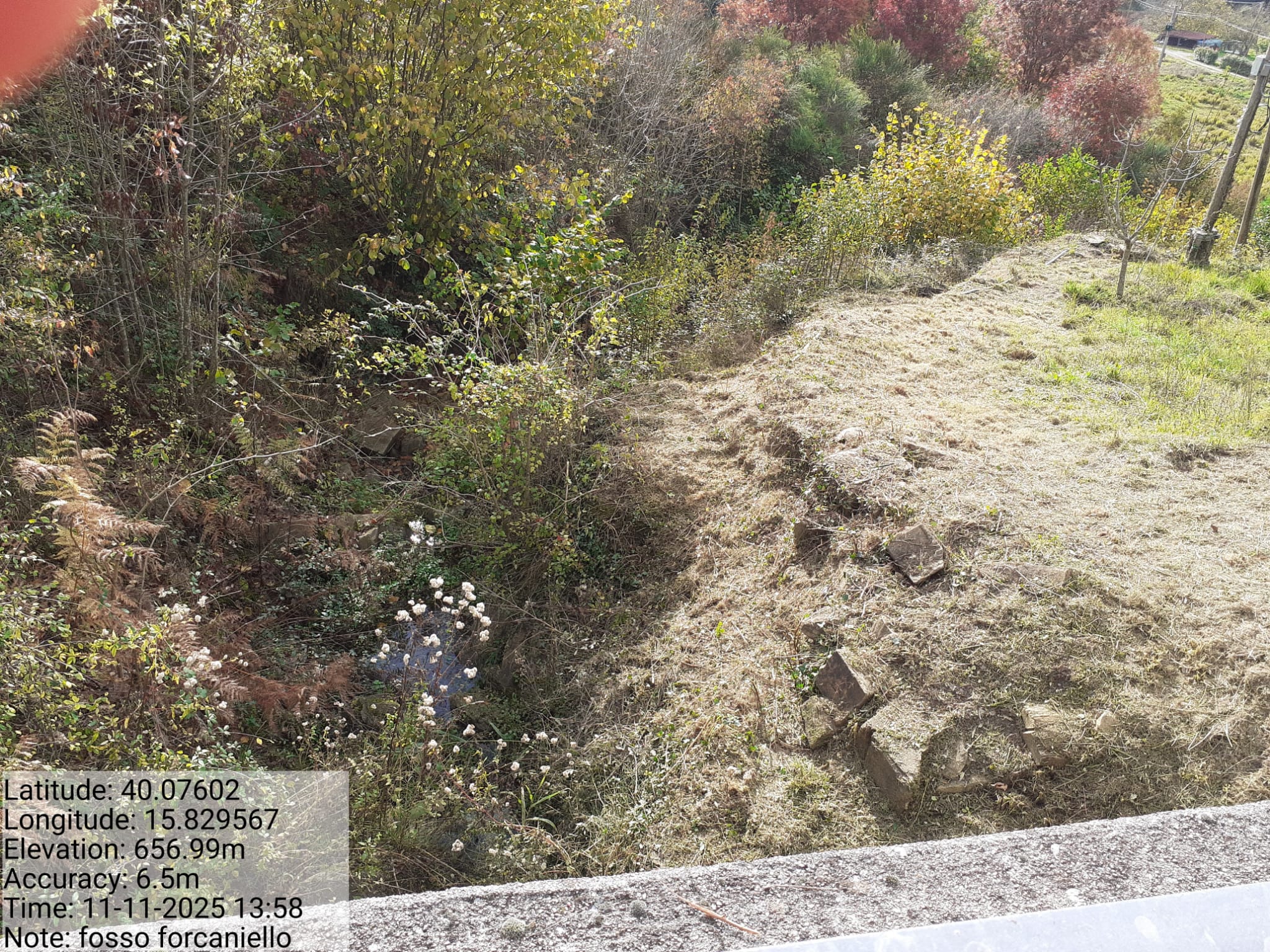 Galleria Fotografica Immagine