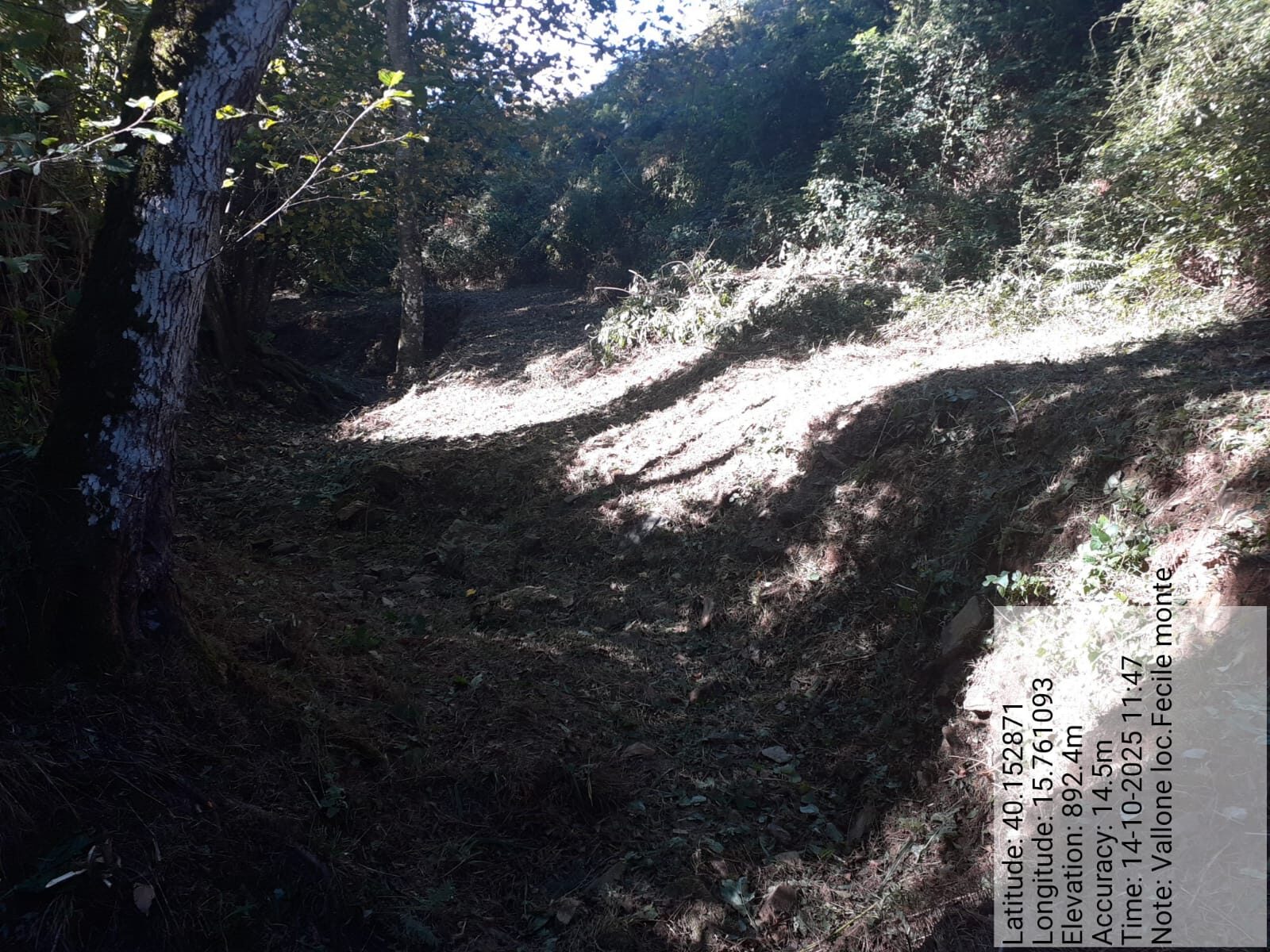 Galleria Fotografica Immagine