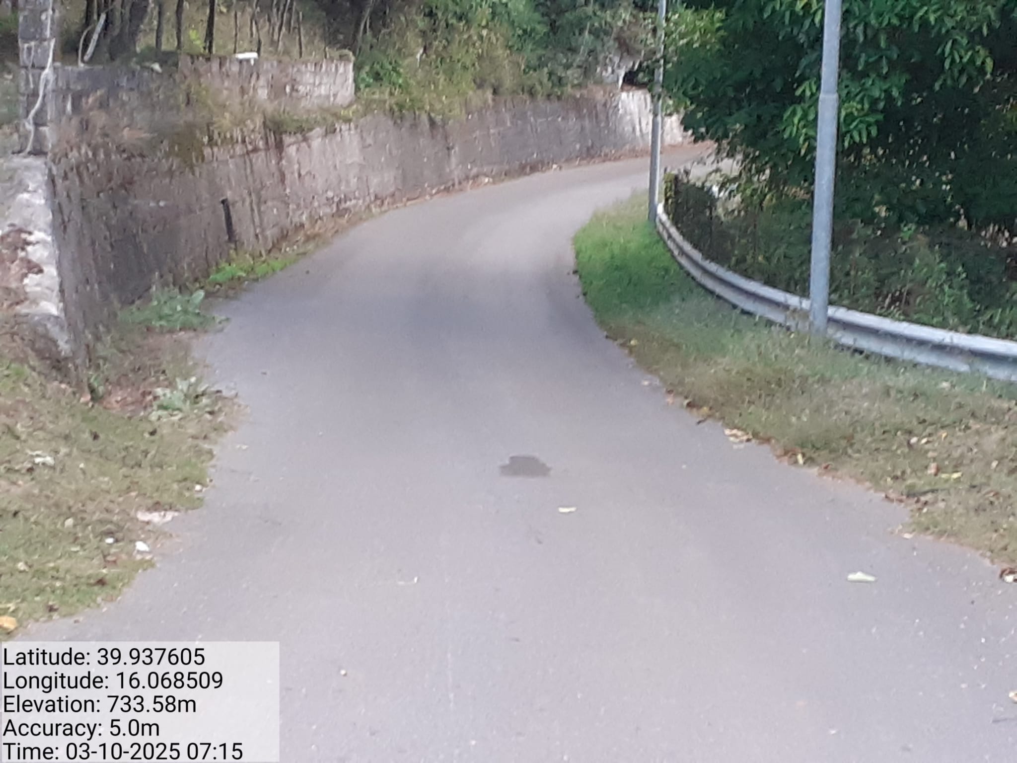 Galleria Fotografica Immagine