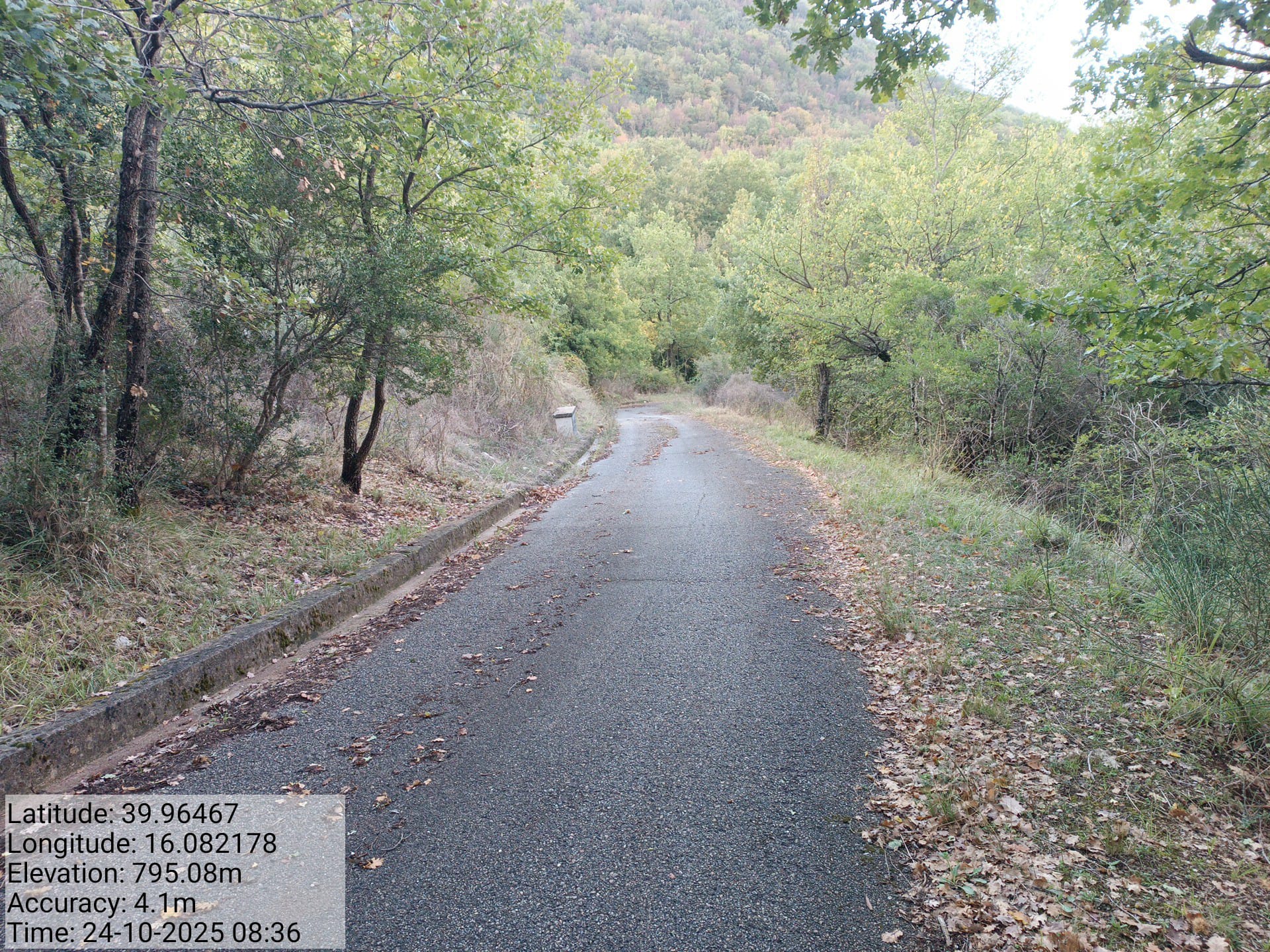 Galleria Fotografica Immagine