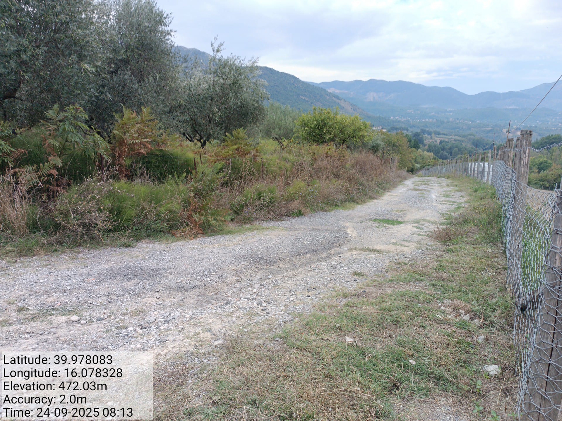 Galleria Fotografica Immagine