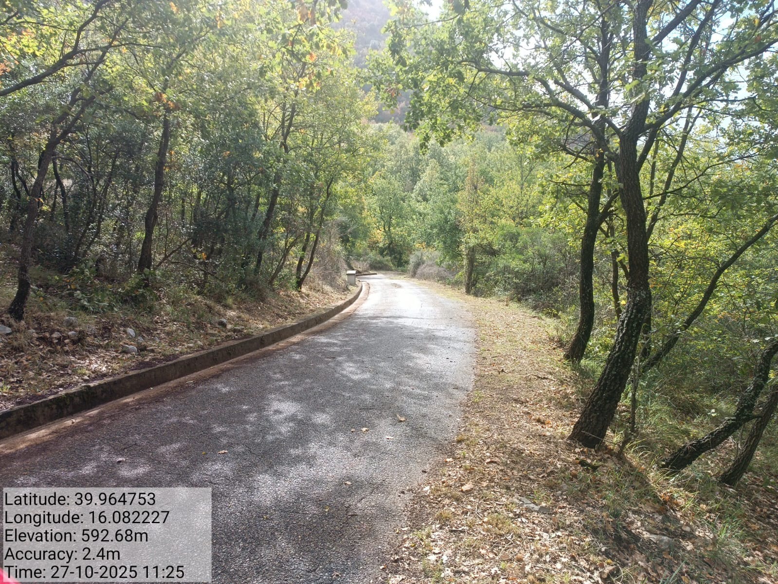 Galleria Fotografica Immagine