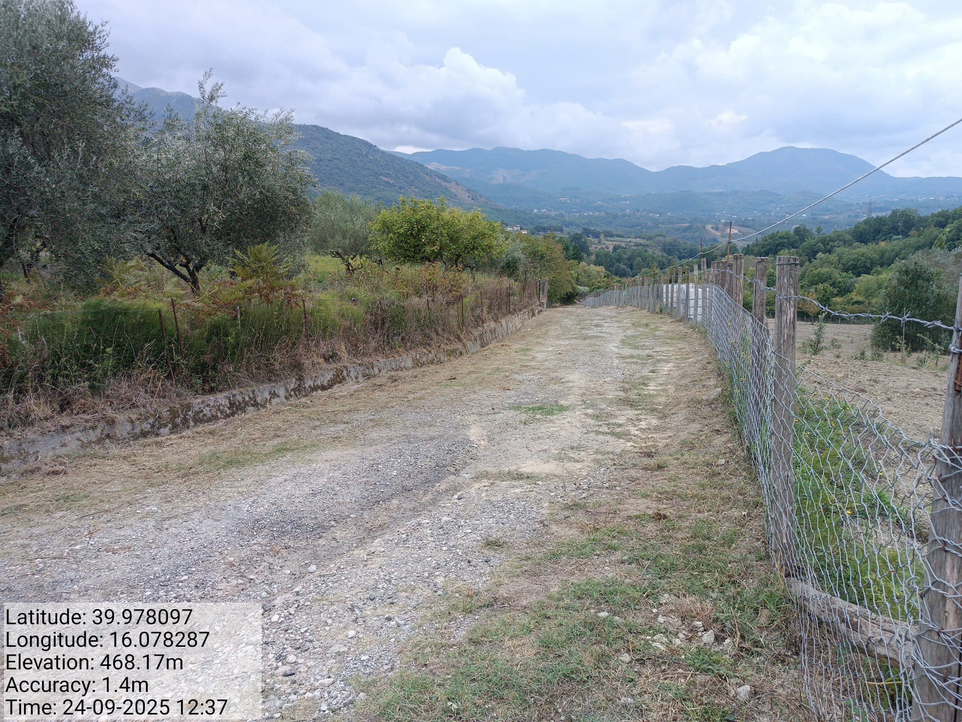 Galleria Fotografica Immagine