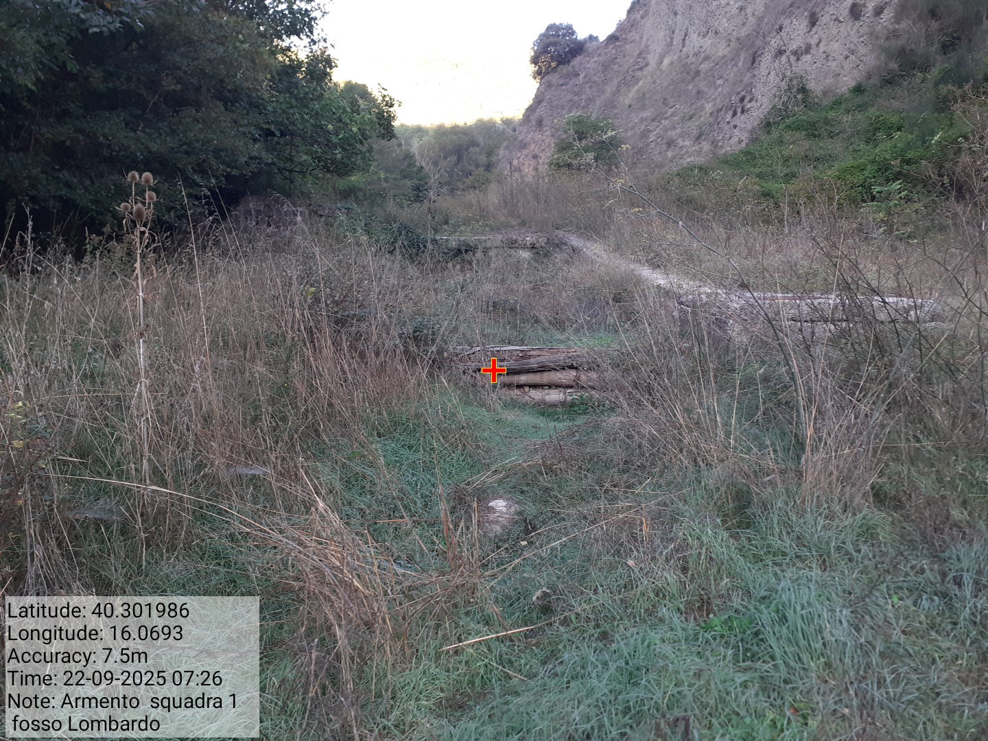 Galleria Fotografica Immagine