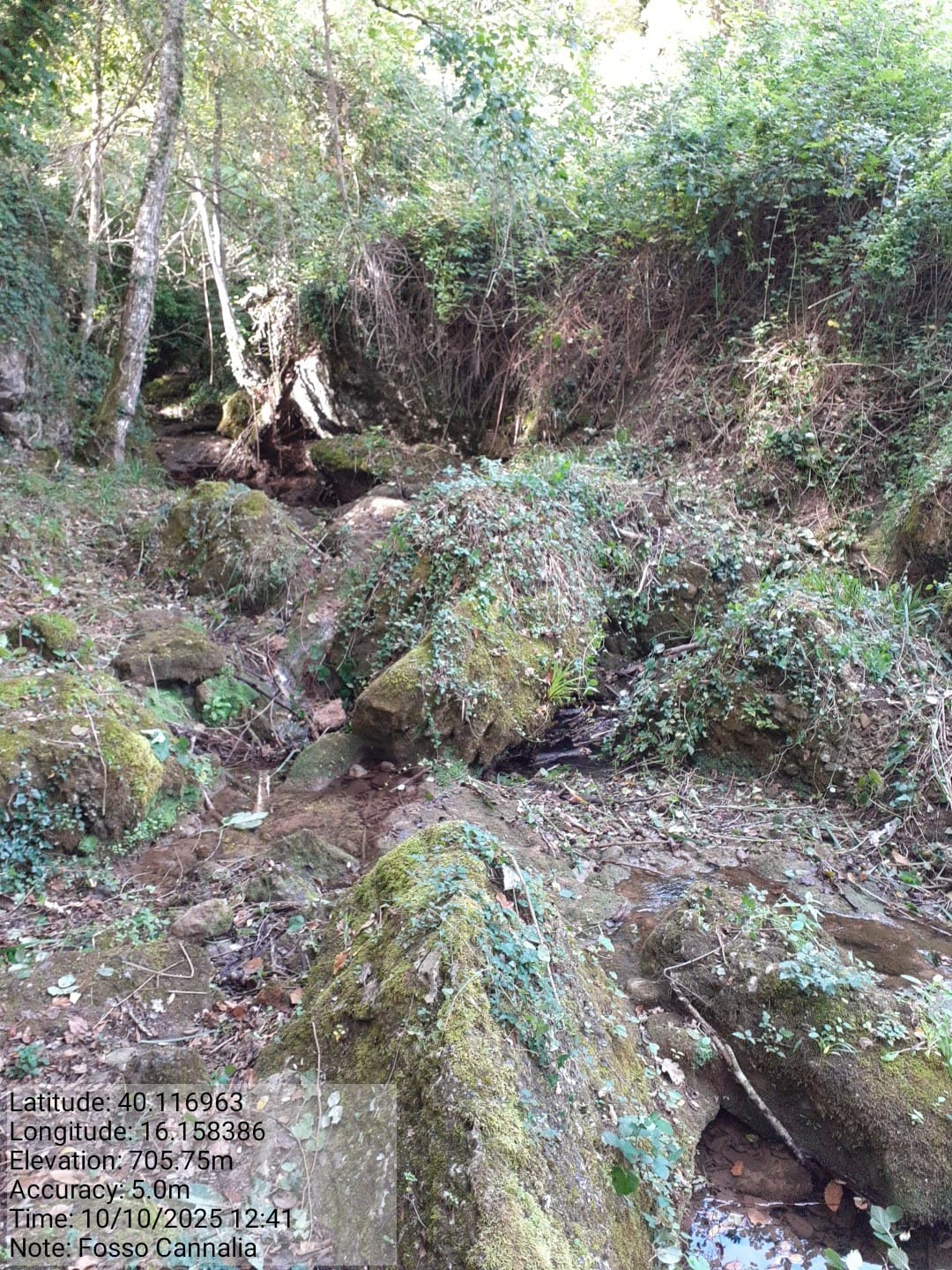 Galleria Fotografica Immagine