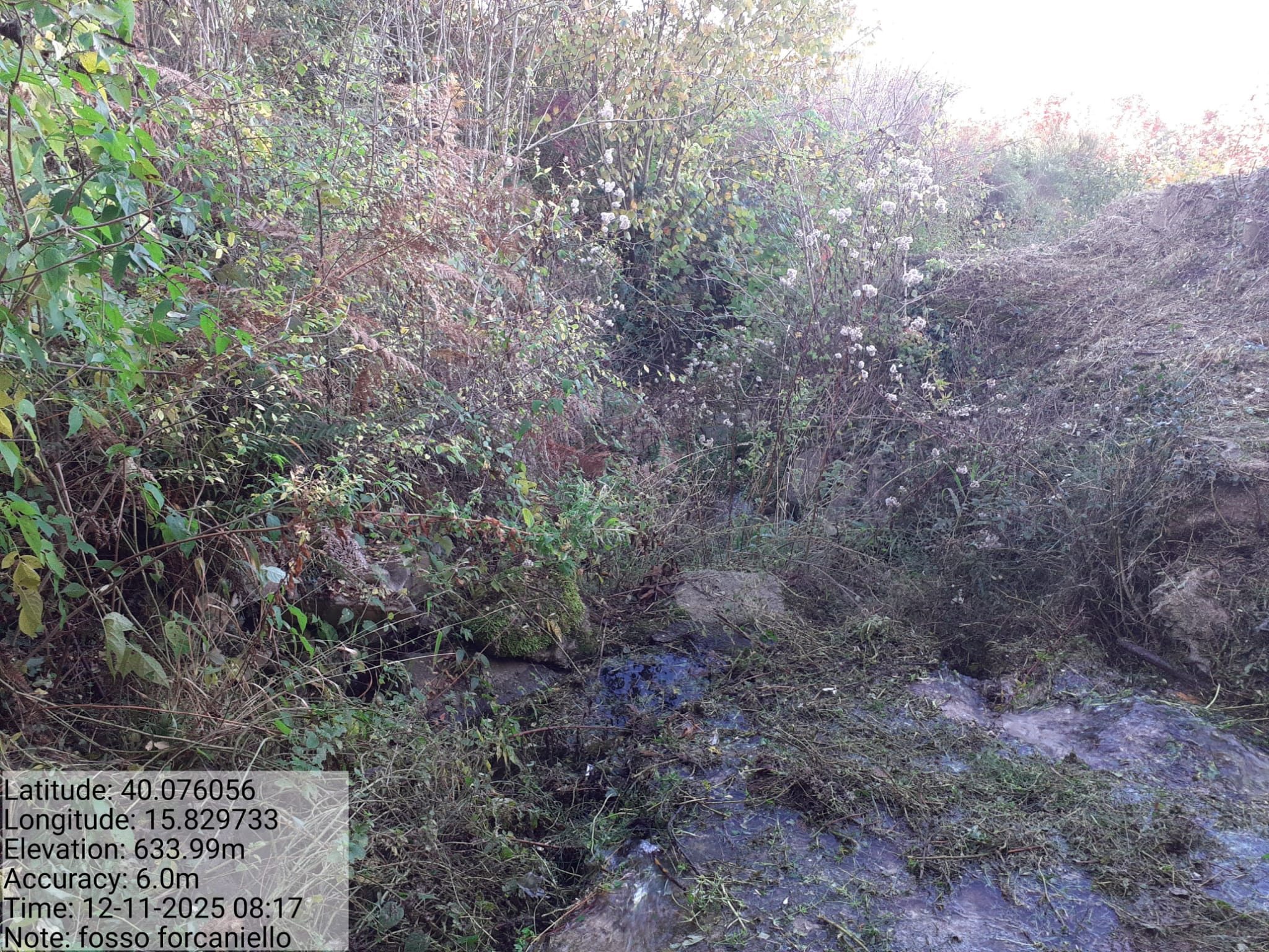 Galleria Fotografica Immagine