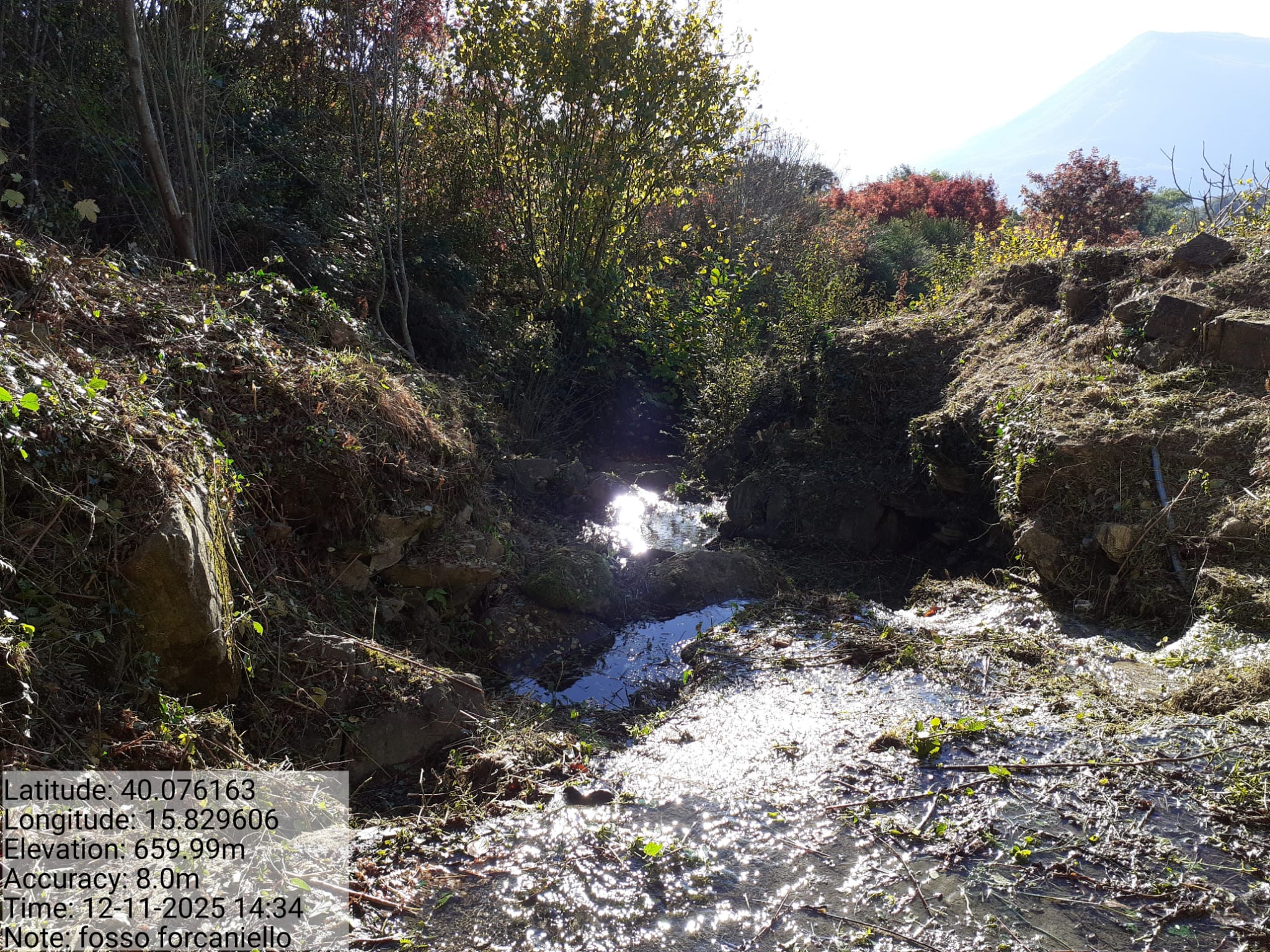 Galleria Fotografica Immagine