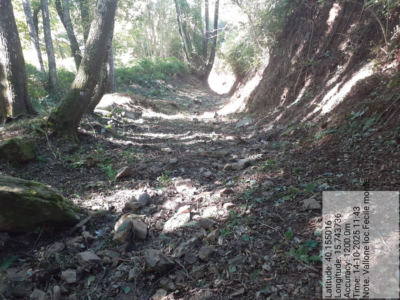 Galleria Fotografica Immagine