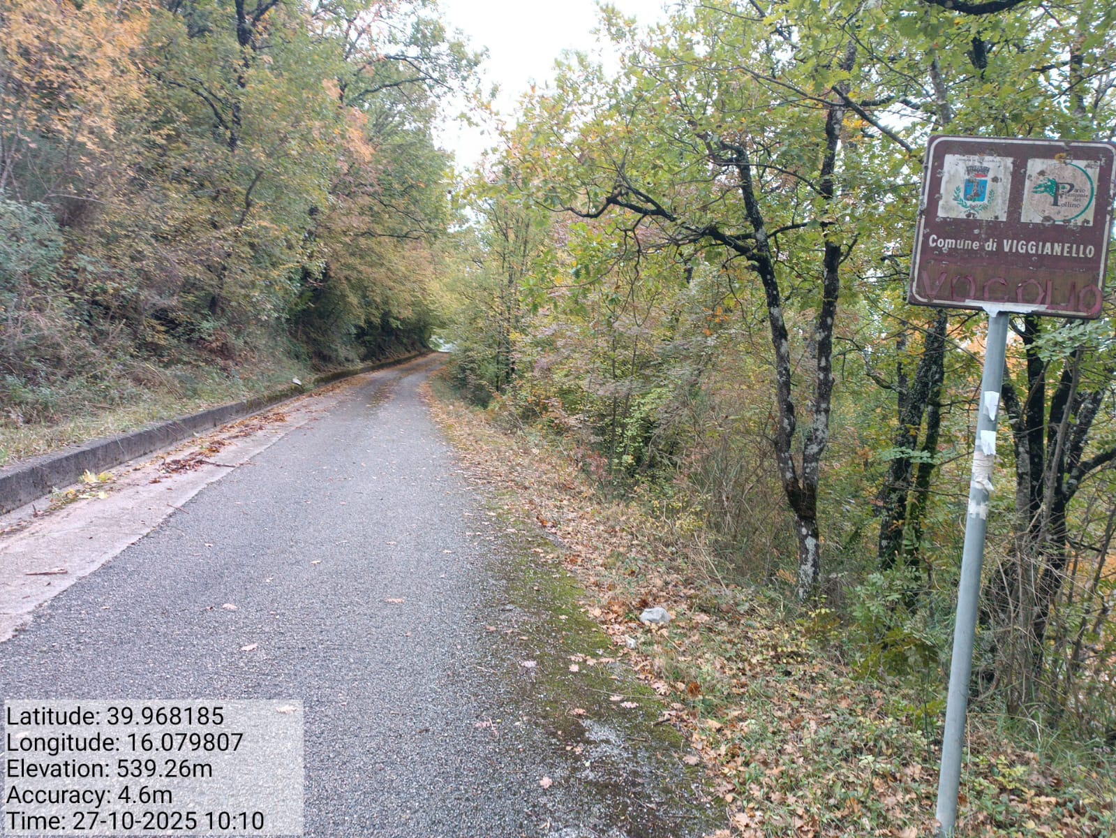 Galleria Fotografica Immagine