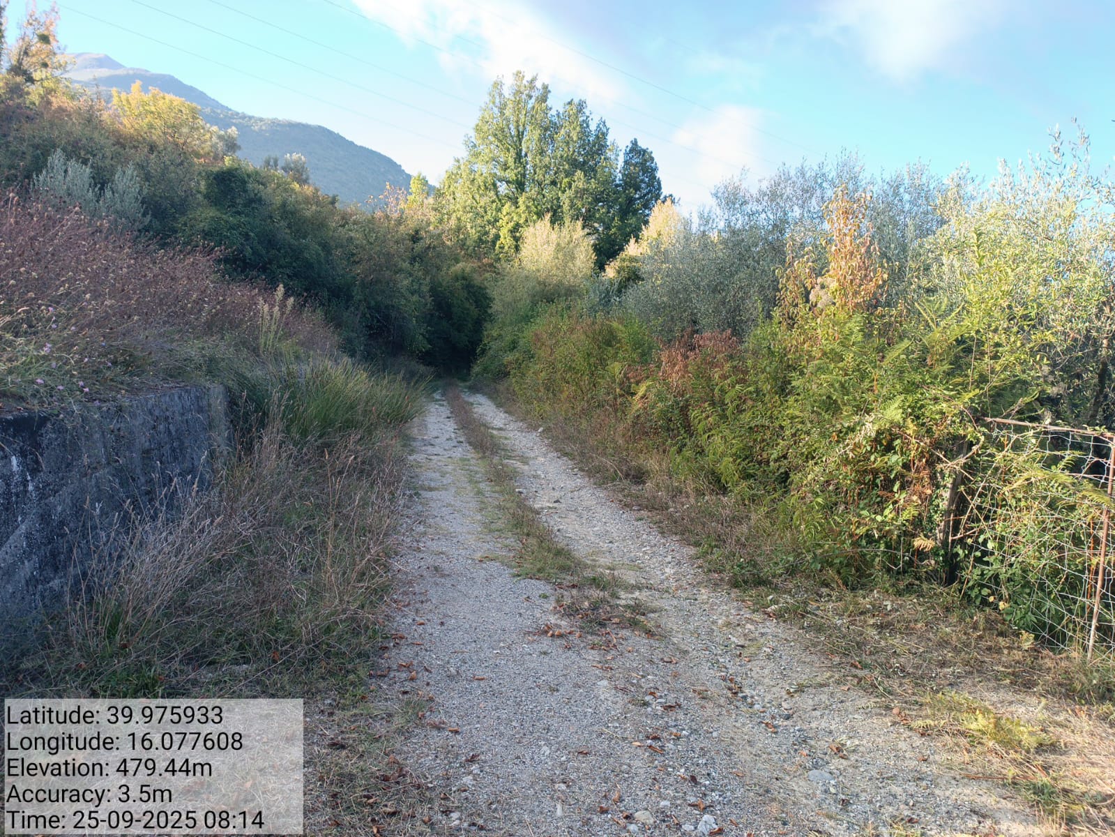 Galleria Fotografica Immagine