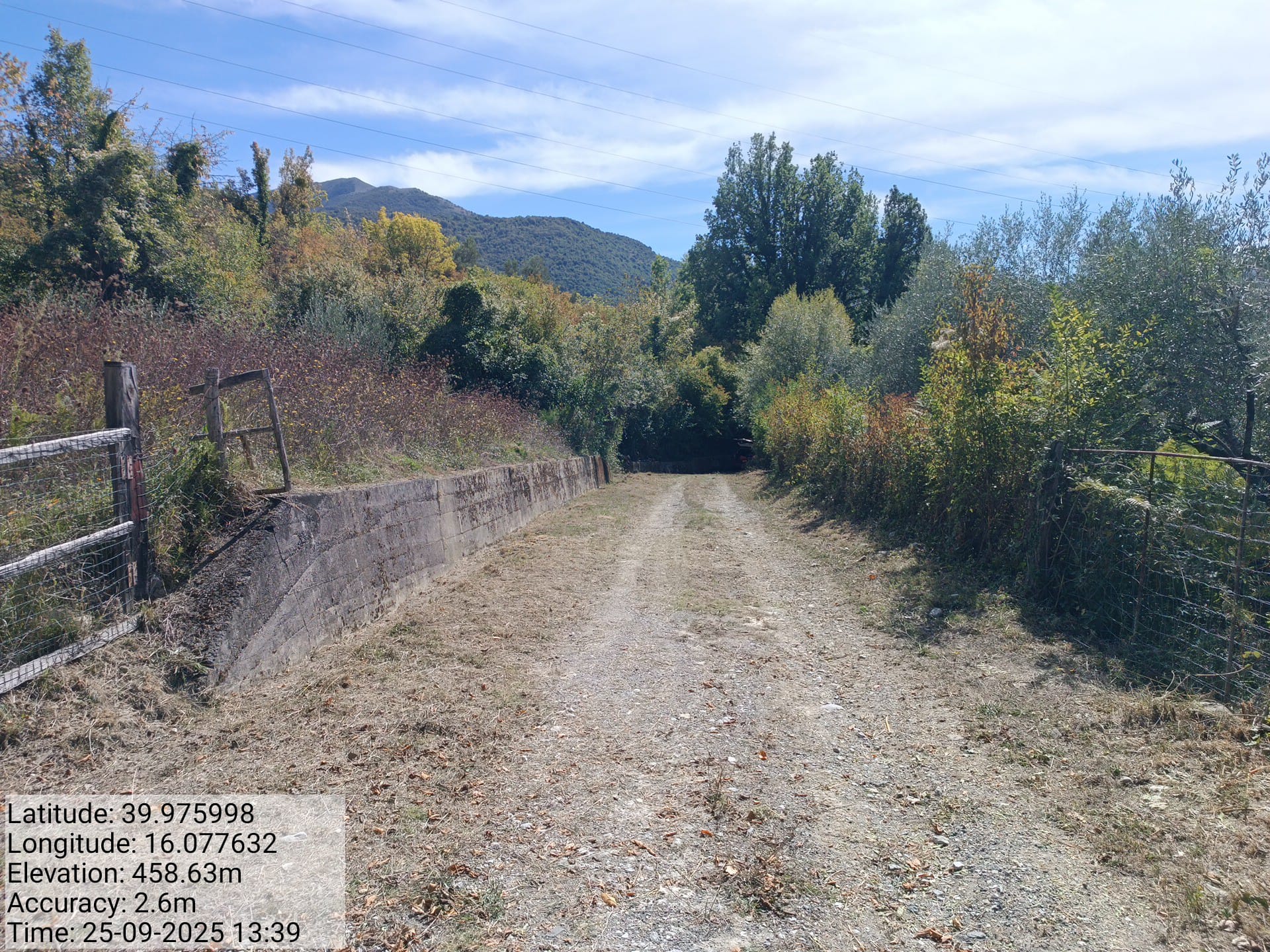 Galleria Fotografica Immagine