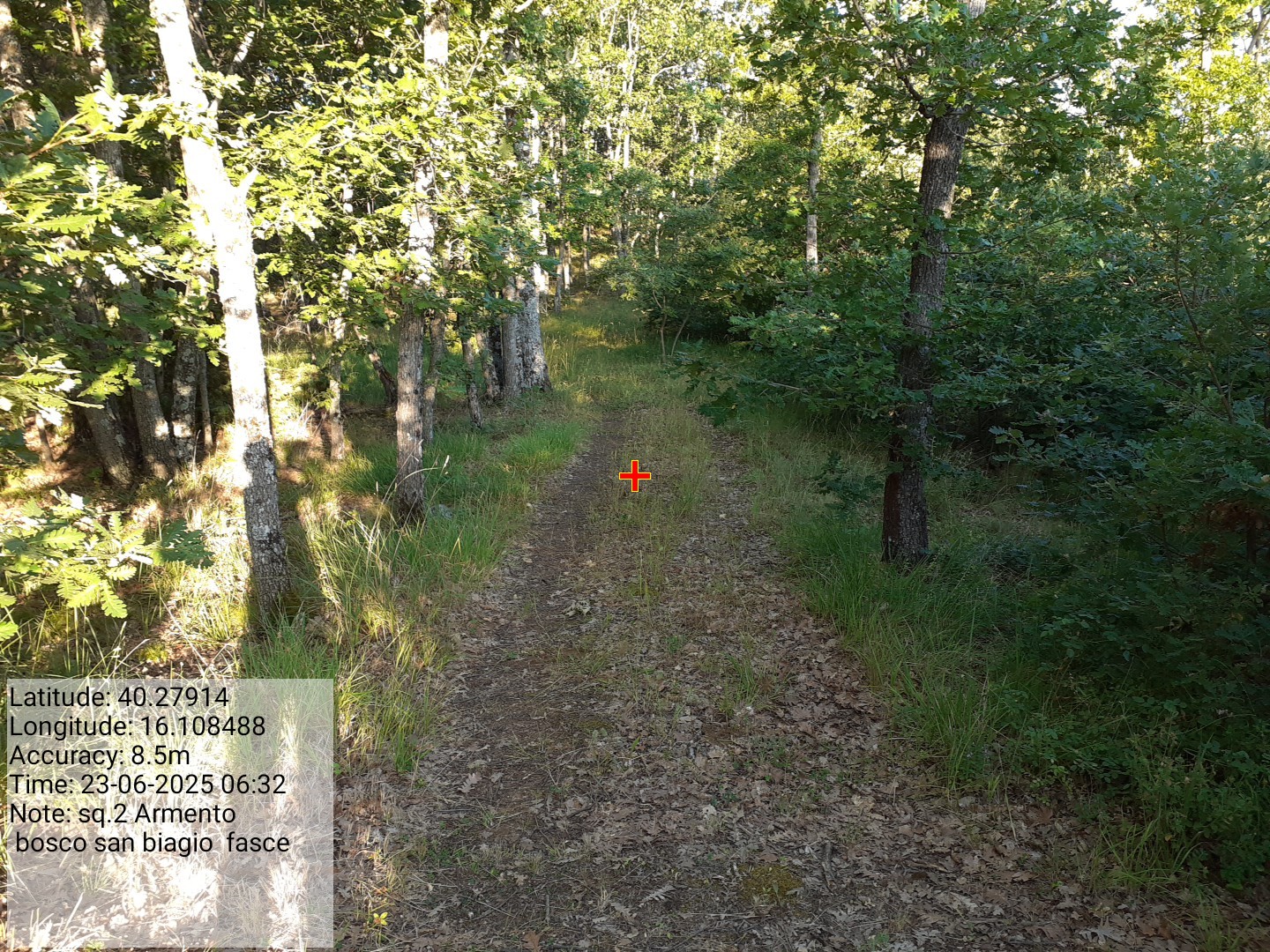 Galleria Fotografica Immagine