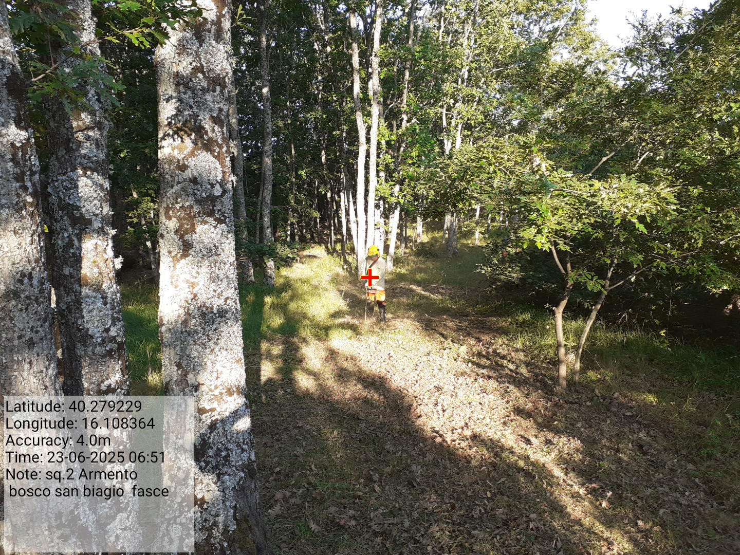 Galleria Fotografica Immagine