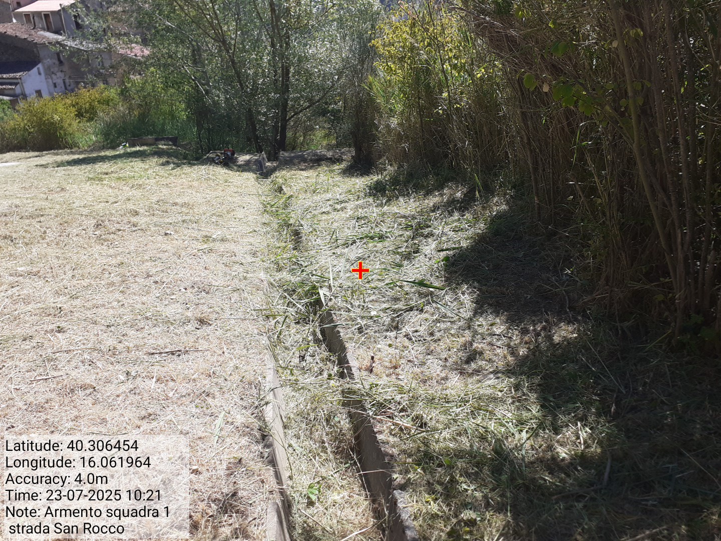 Galleria Fotografica Immagine