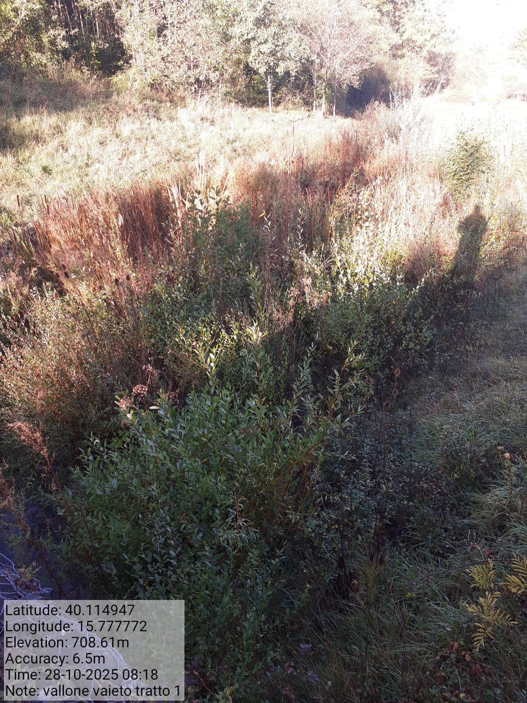 Galleria Fotografica Immagine