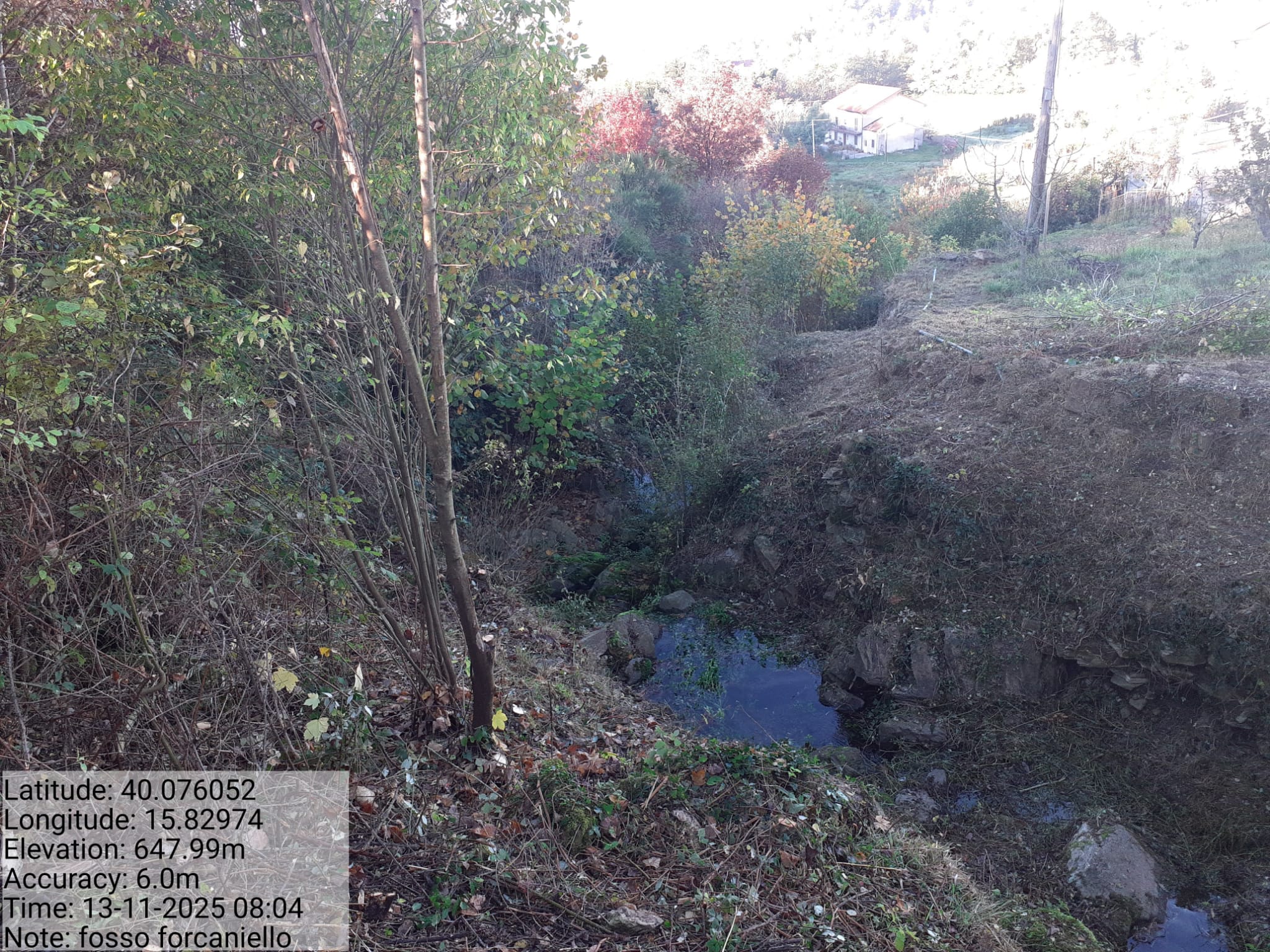 Galleria Fotografica Immagine