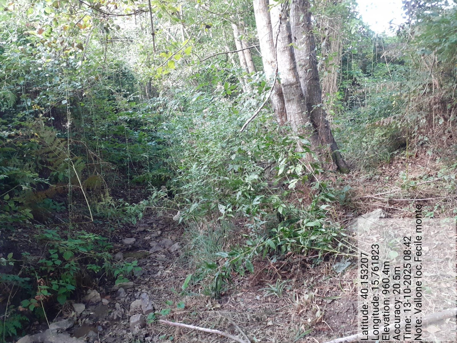 Galleria Fotografica Immagine