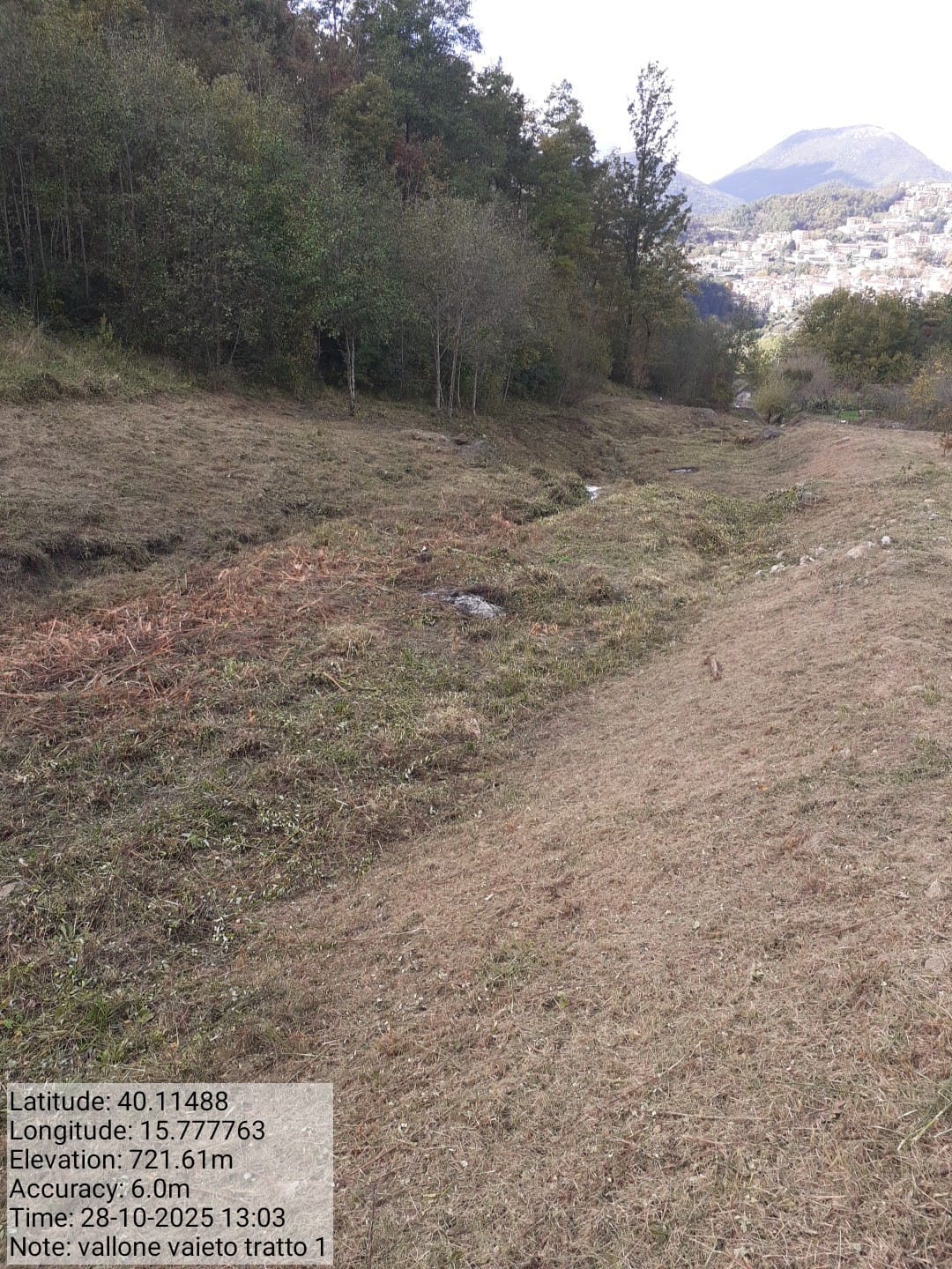 Galleria Fotografica Immagine