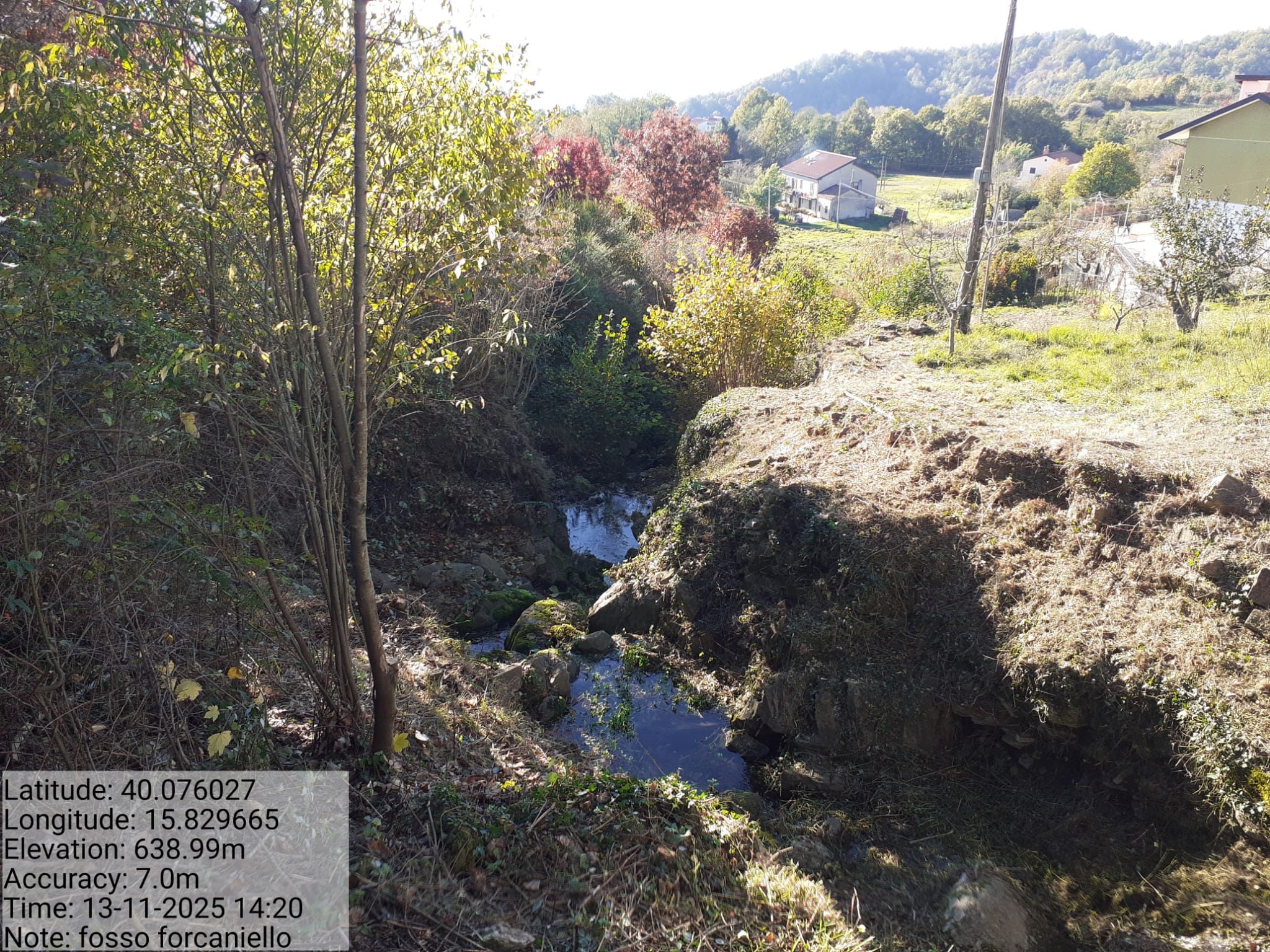 Galleria Fotografica Immagine