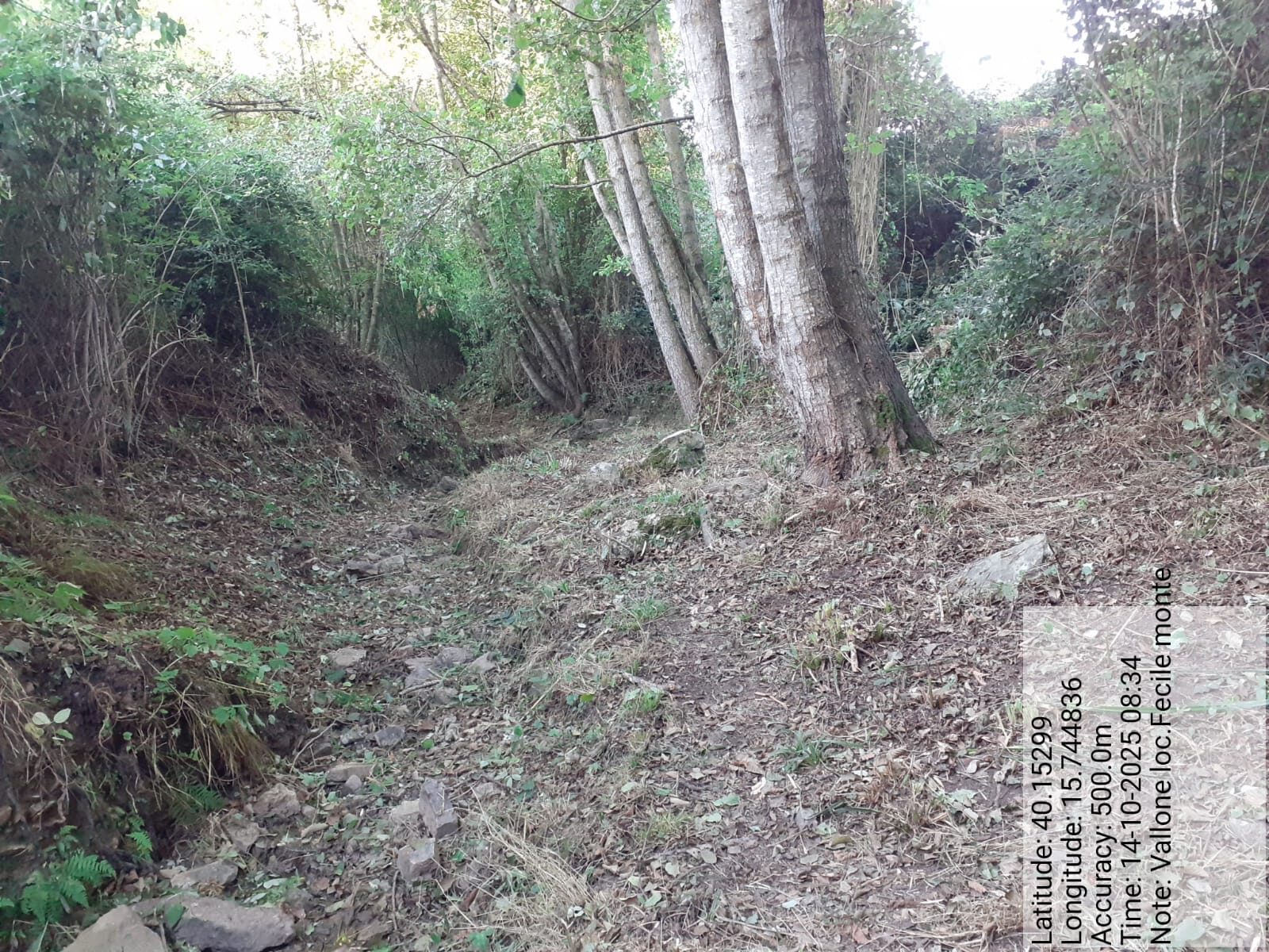 Galleria Fotografica Immagine