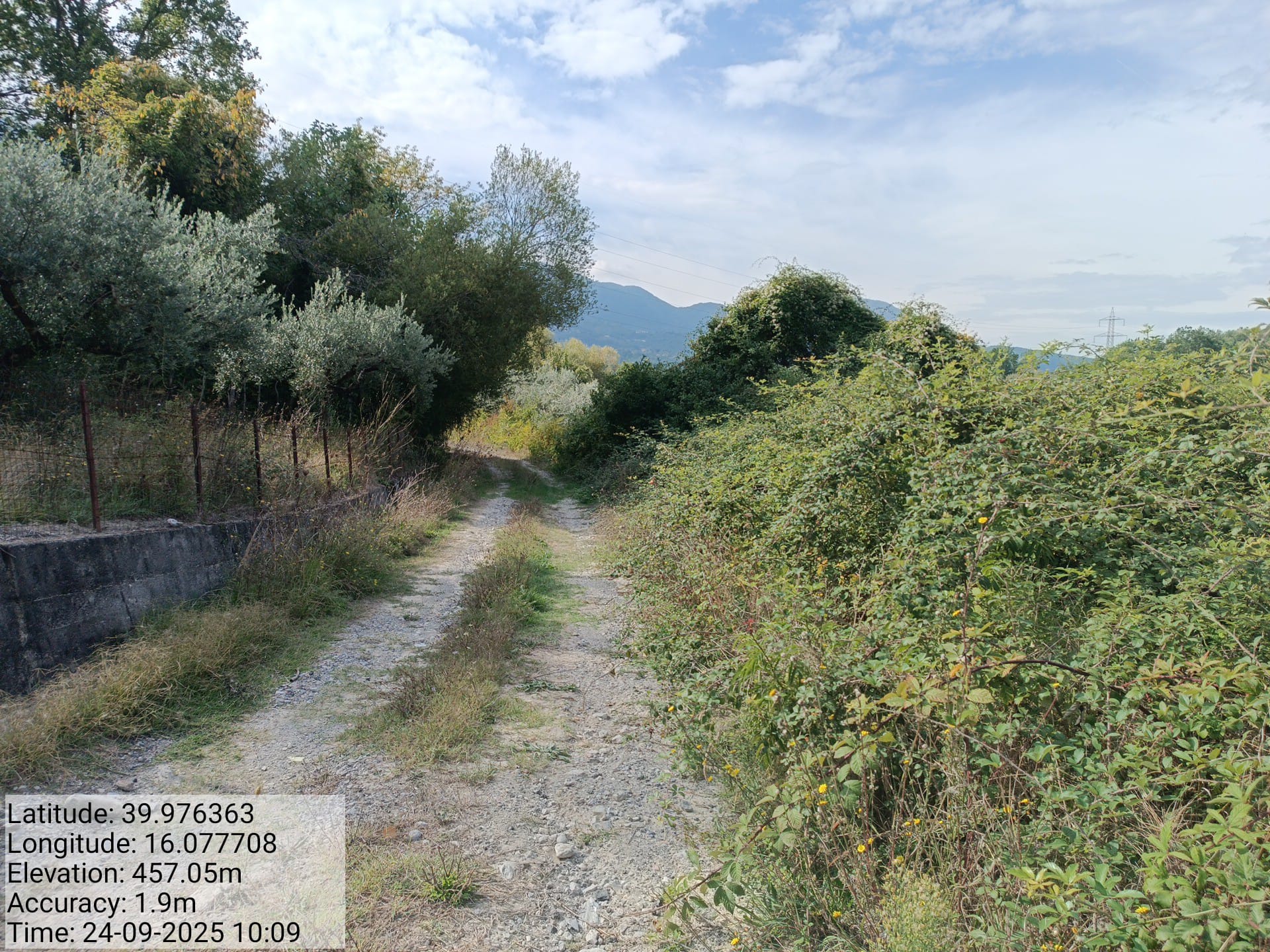 Galleria Fotografica Immagine