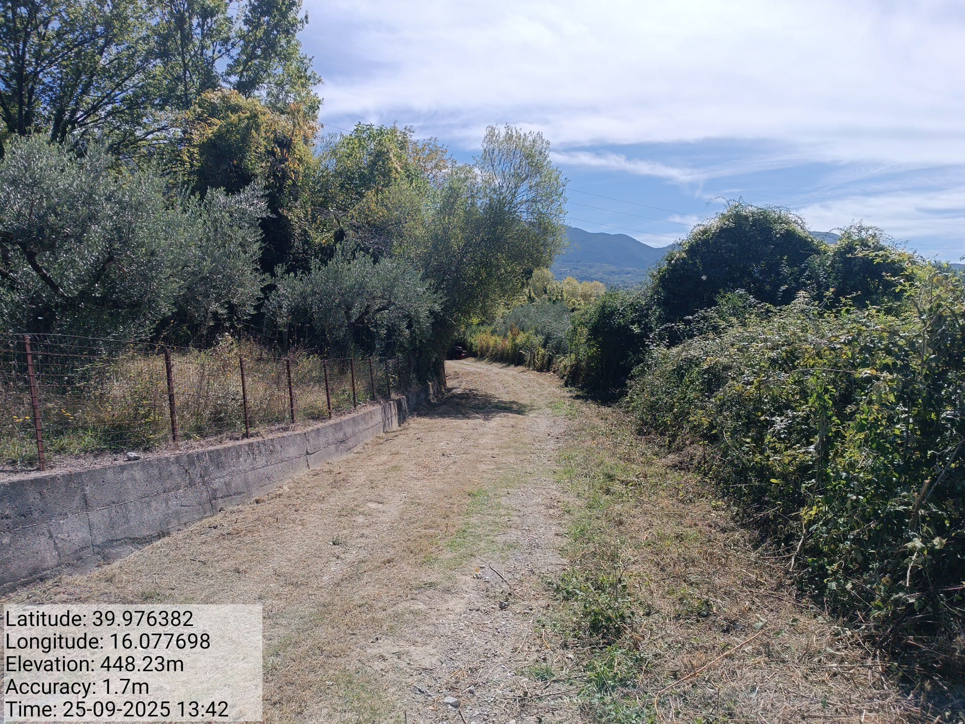 Galleria Fotografica Immagine