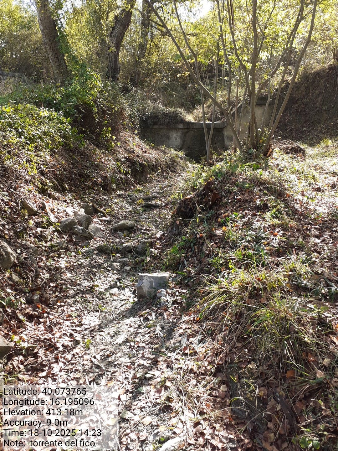 Galleria Fotografica Immagine