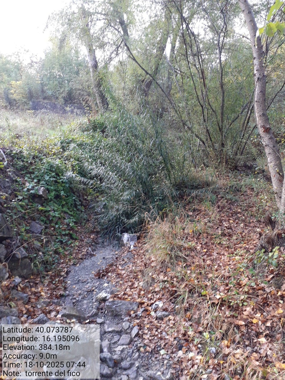 Galleria Fotografica Immagine