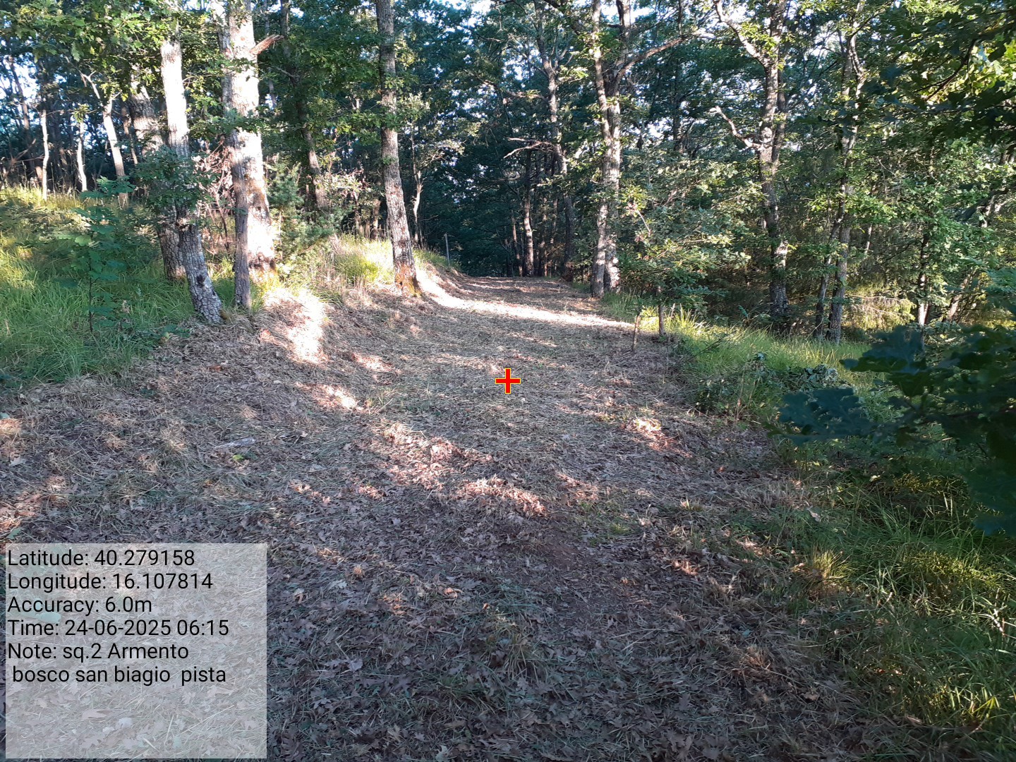 Galleria Fotografica Immagine