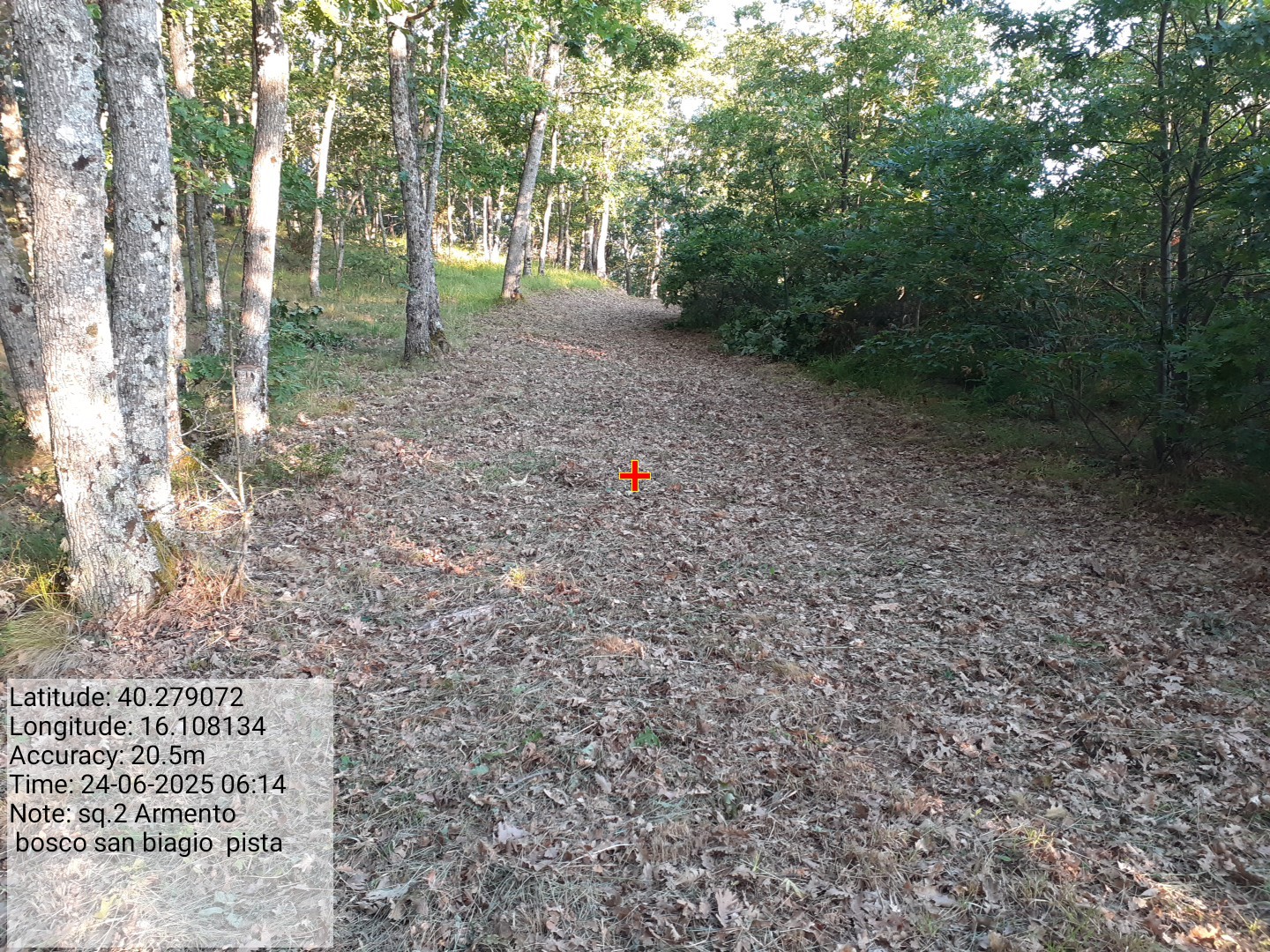 Galleria Fotografica Immagine